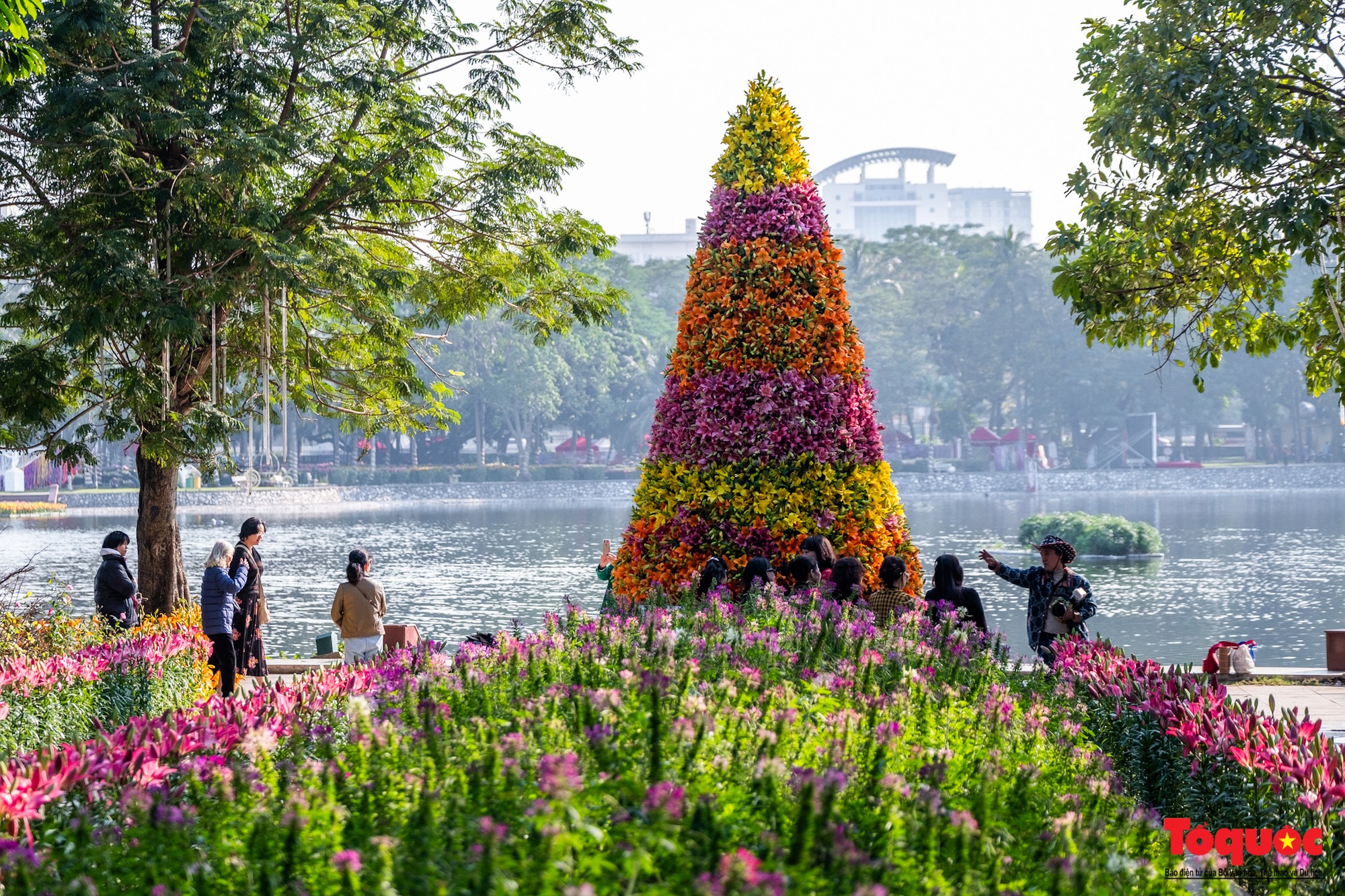 Ngắm nhìn 6 vạn cành hoa ly Hà Lan ở “Hà Nội miền hoa 2023” - Ảnh 3.
