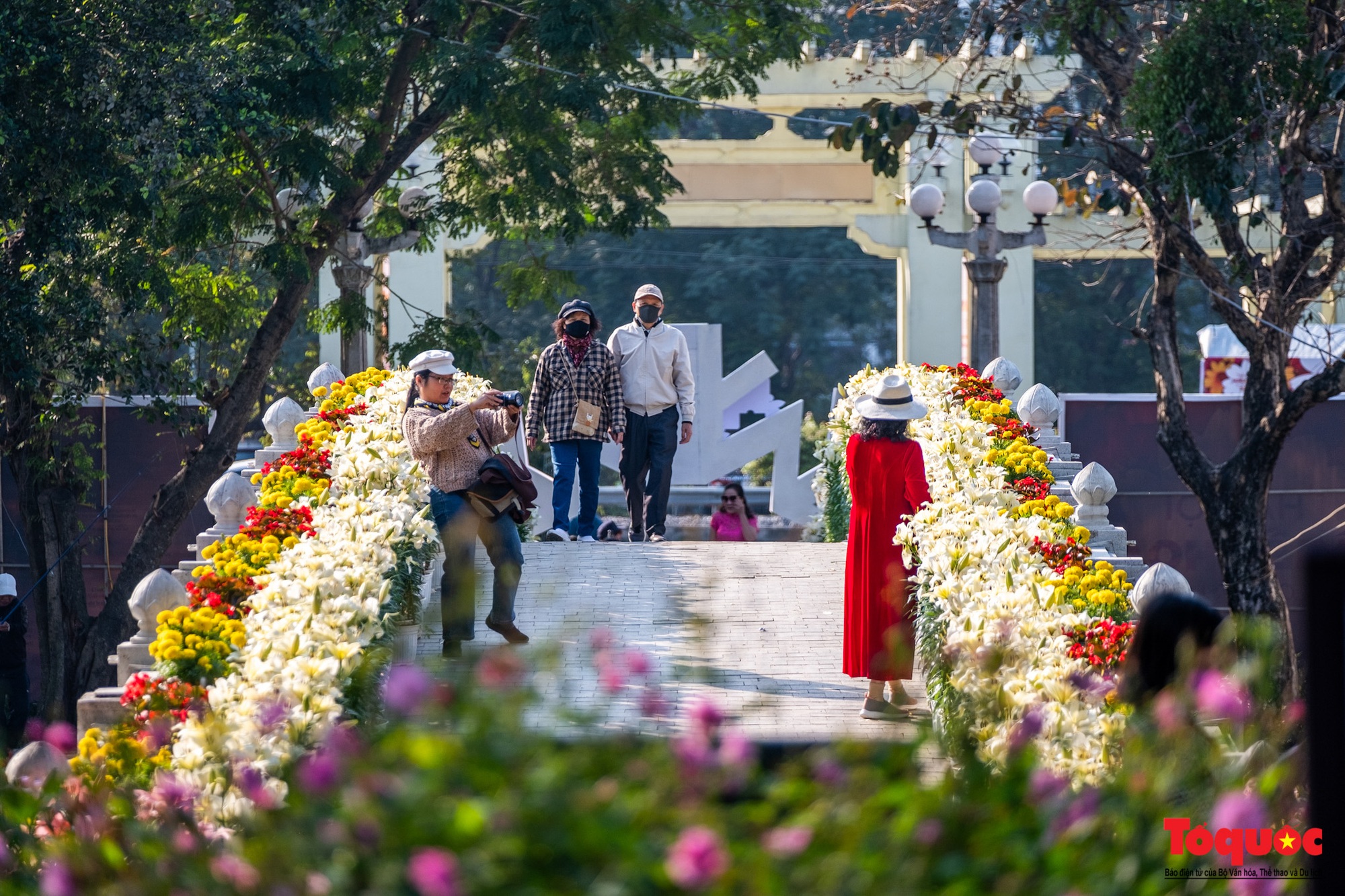 Ngắm nhìn 6 vạn cành hoa ly Hà Lan ở “Hà Nội miền hoa 2023” - Ảnh 2.