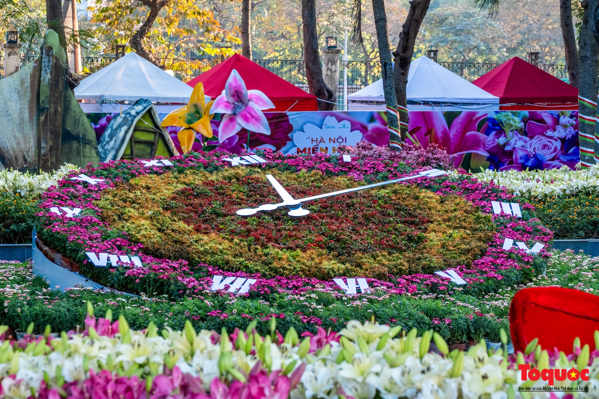 Ngắm nhìn 6 vạn cành hoa ly Hà Lan ở “Hà Nội miền hoa 2023” - Ảnh 12.