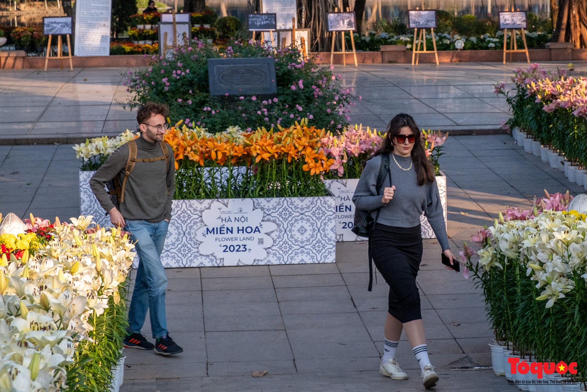 Ngắm nhìn 6 vạn cành hoa ly Hà Lan ở “Hà Nội miền hoa 2023” - Ảnh 13.