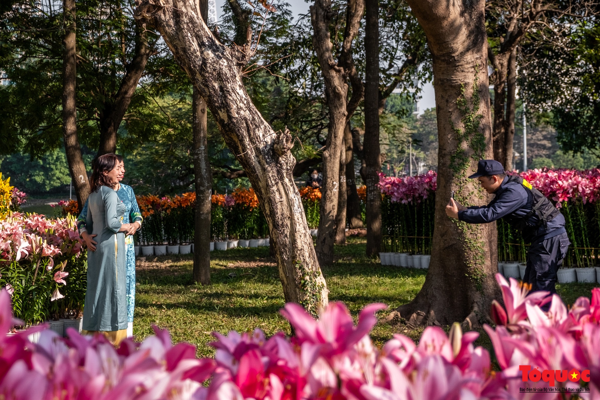 Ngắm nhìn 6 vạn cành hoa ly Hà Lan ở “Hà Nội miền hoa 2023” - Ảnh 8.