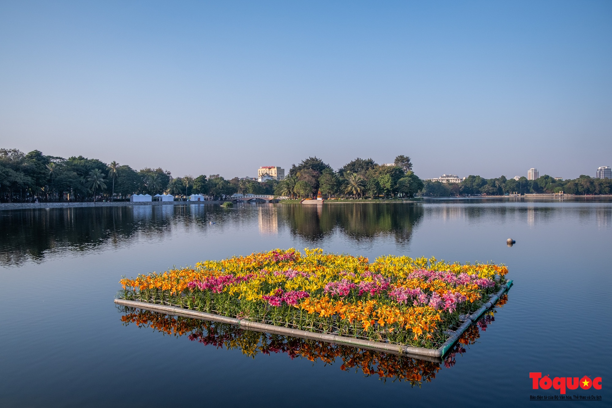Ngắm nhìn 6 vạn cành hoa ly Hà Lan ở “Hà Nội miền hoa 2023” - Ảnh 14.