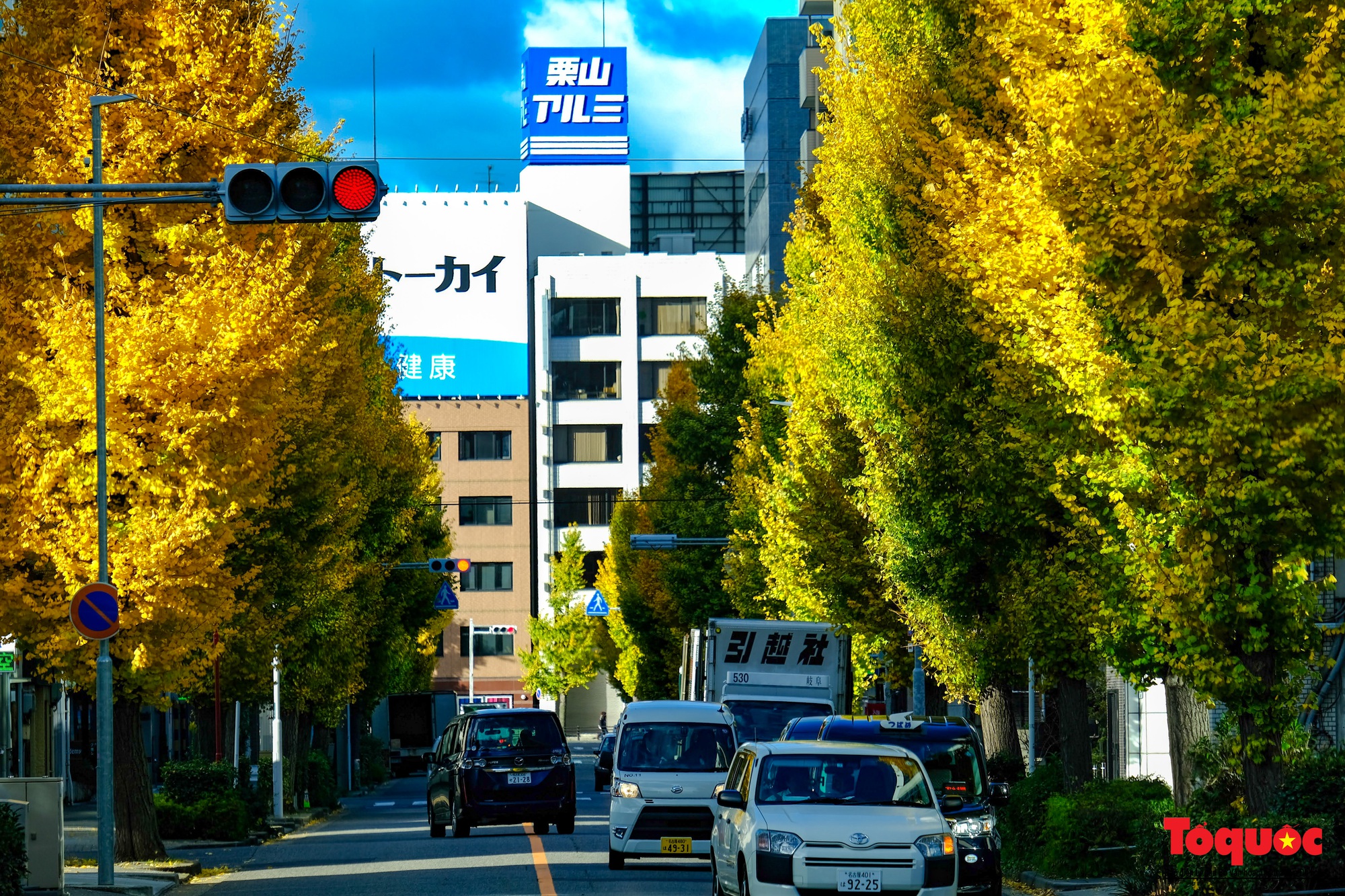 Sắc vàng rực rỡ trên con đường ngân hạnh ở Nhật Bản  - Ảnh 7.