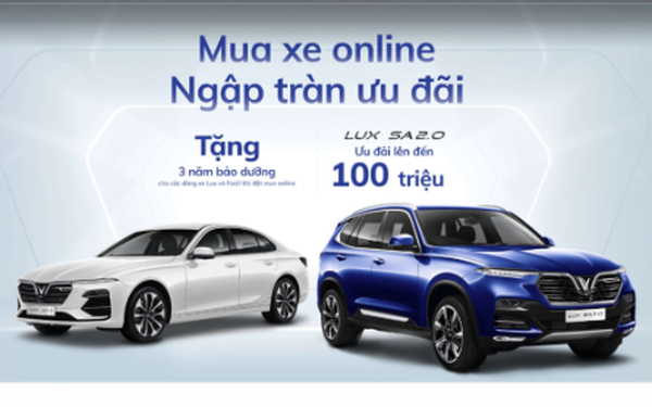 Bán ô tô trên mạng, ship vàng về tận nơi: Cơn bão online hóa - Ảnh 1.