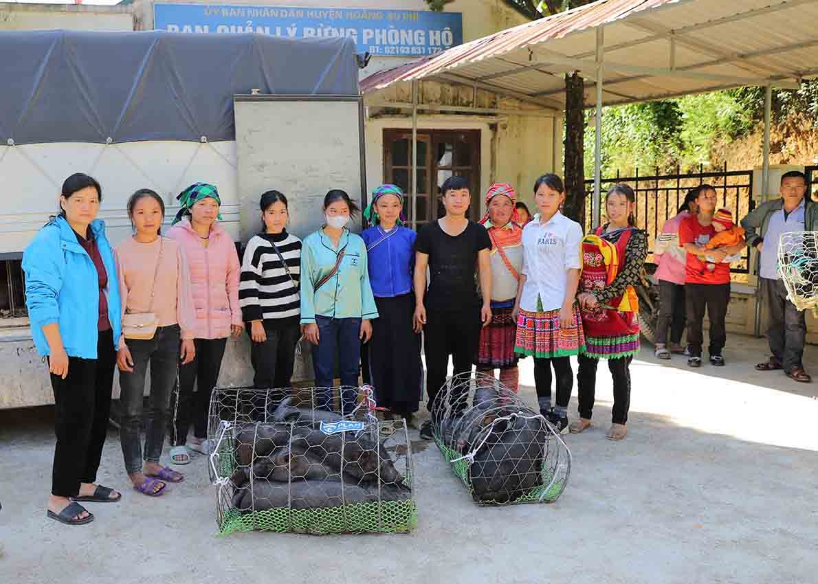 Dự án Plan tập huấn và hỗ trợ giống vật nuôi cho 200 hộ thanh niên tại Hà Giang - Ảnh 1.