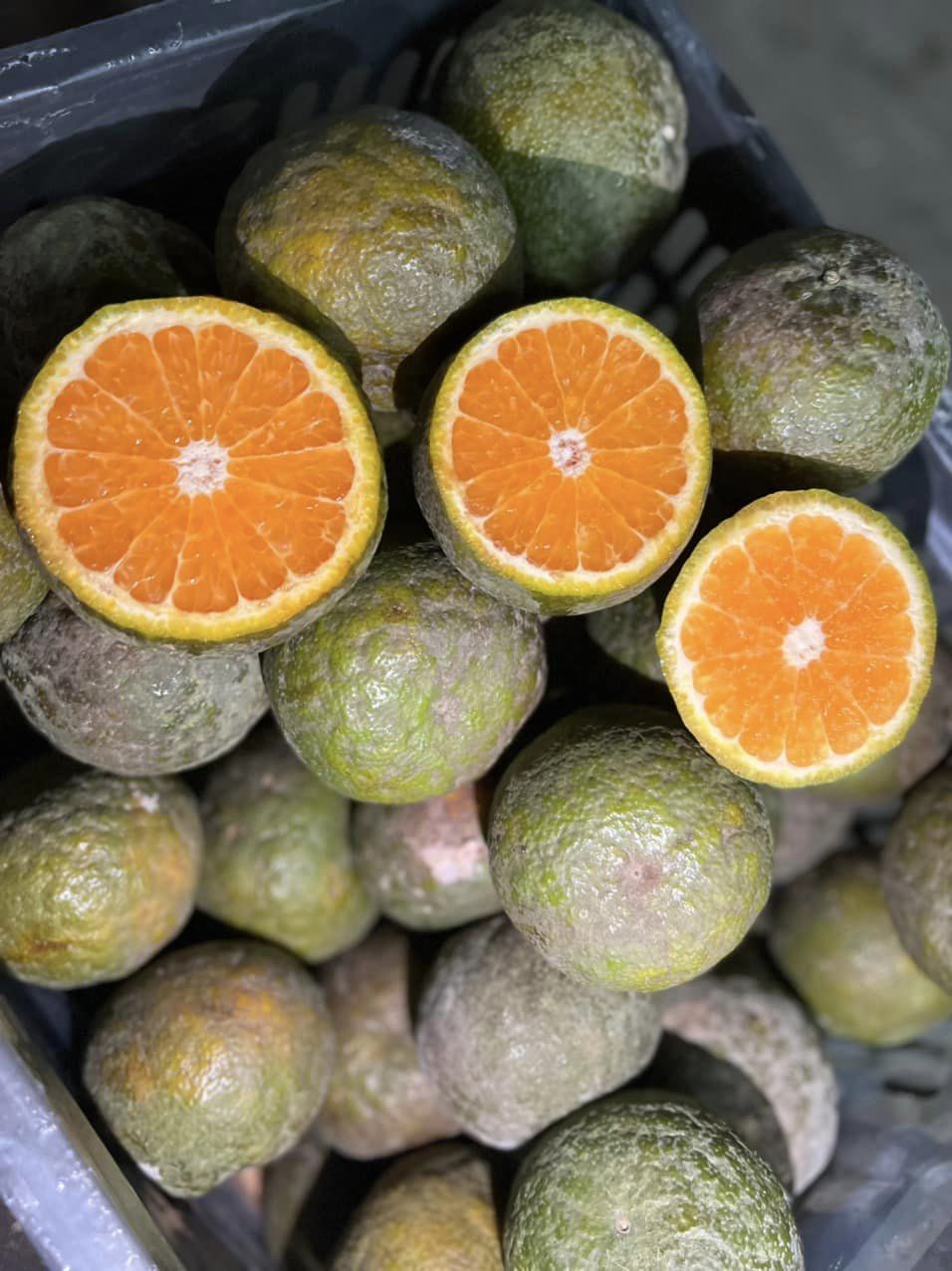 Nước cam Trái cây cam - hình ảnh naranja png png tải về - Miễn phí trong  suốt Chanh png Tải về.