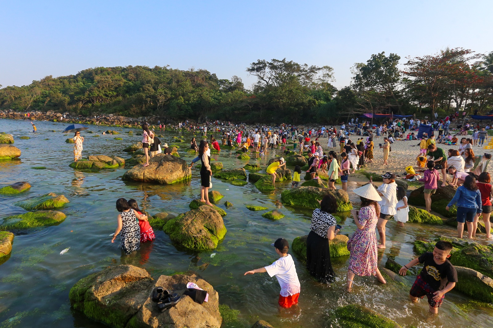 Ảnh: Du khách chen chân chụp ảnh bãi rêu tuyệt đẹp ven biển Đà Nẵng - Ảnh 20.