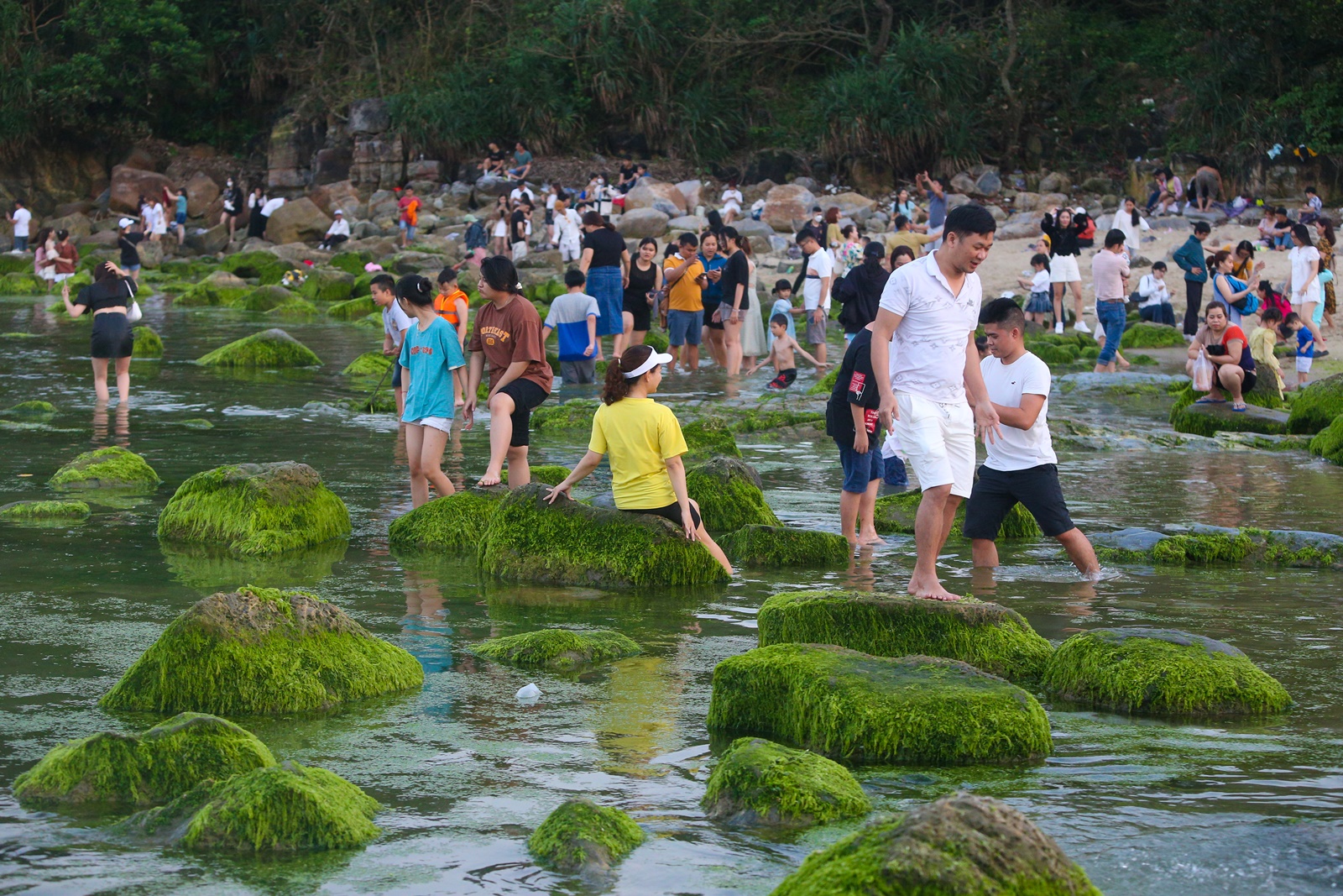 Ảnh: Du khách chen chân chụp ảnh bãi rêu tuyệt đẹp ven biển Đà Nẵng - Ảnh 16.