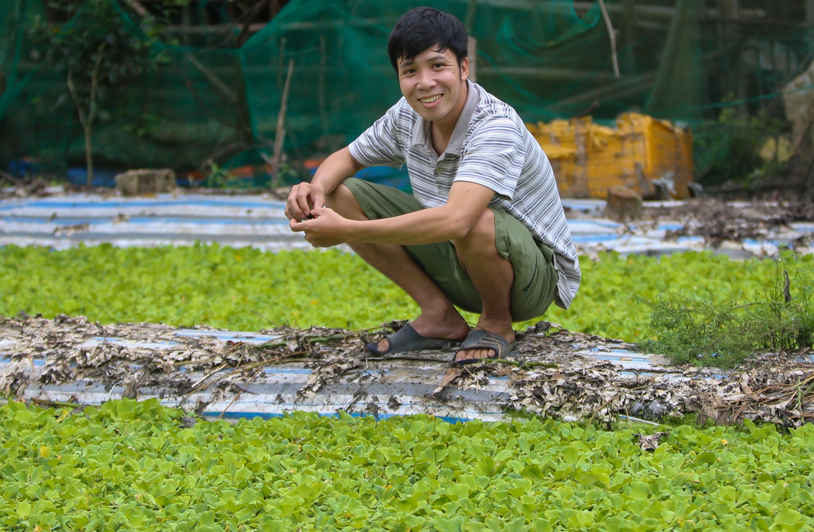 Thất nghiệp, hướng dẫn viên du lịch về quê nuôi ốc kiếm hơn 30 triệu đồng/tháng - Ảnh 10.