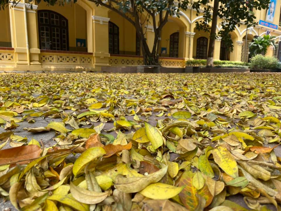 Một trường THPT công lập ở Hà Nội vừa có chất lượng đầu vào tốt, vừa có cảnh quan cực đẹp - Ảnh 4.