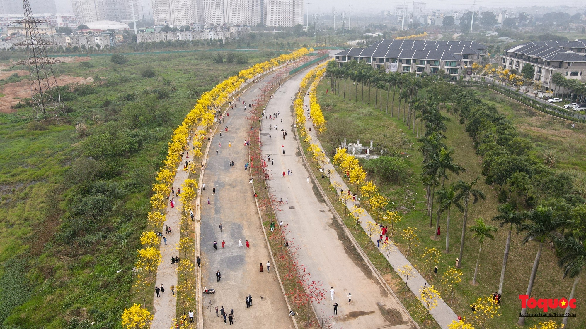 Người dân thủ đô &quot;rần rần&quot; check-in với con đường hoa đẹp nhất Hà Nội - Ảnh 11.