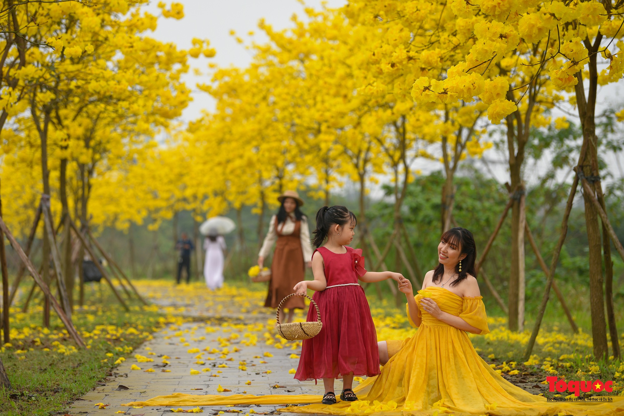 Người dân thủ đô &quot;rần rần&quot; check-in với con đường hoa đẹp nhất Hà Nội - Ảnh 14.
