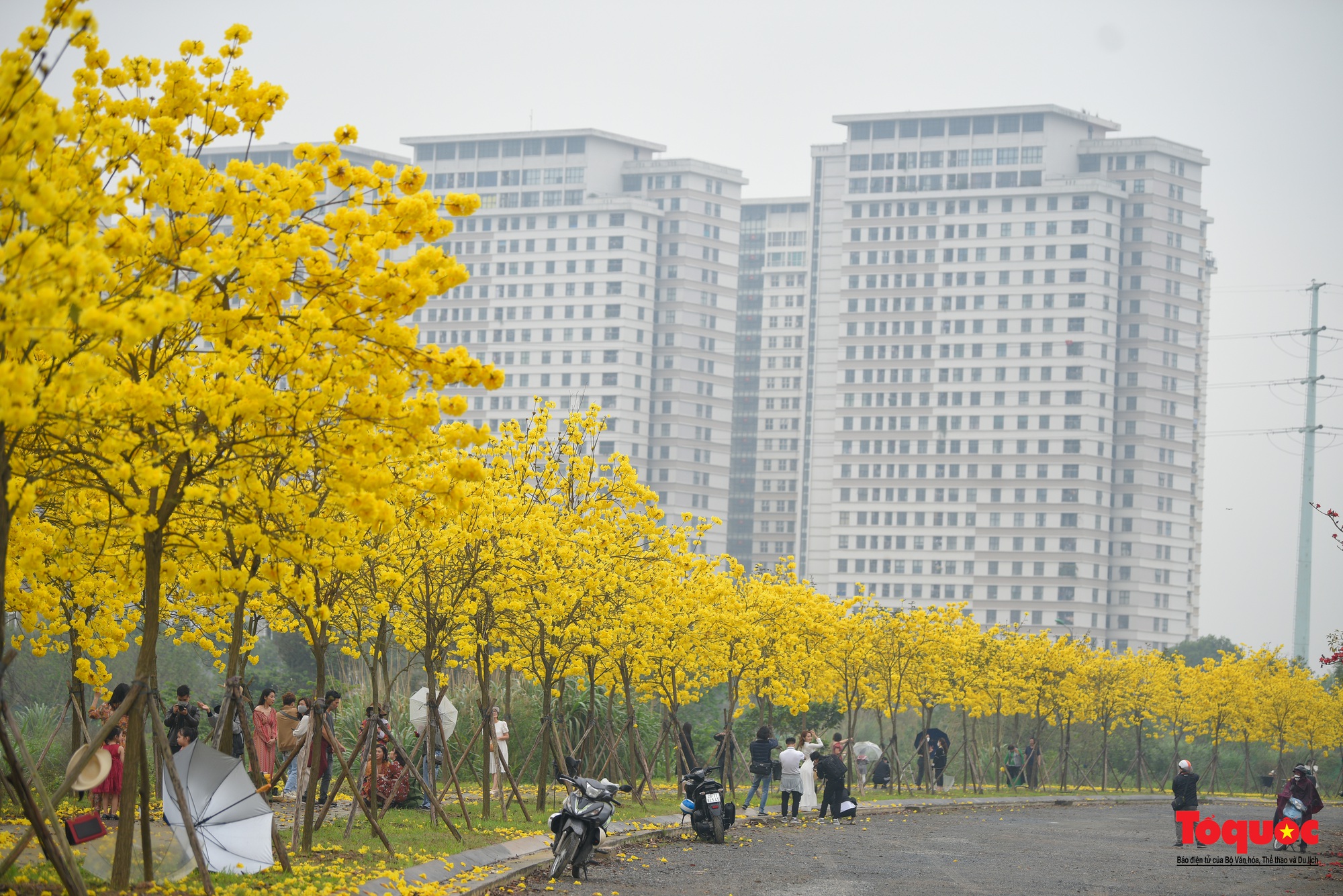 Người dân thủ đô &quot;rần rần&quot; check-in với con đường hoa đẹp nhất Hà Nội - Ảnh 17.
