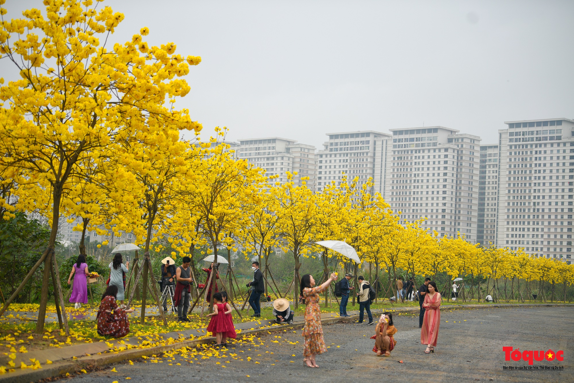 Người dân thủ đô &quot;rần rần&quot; check-in với con đường hoa đẹp nhất Hà Nội - Ảnh 13.