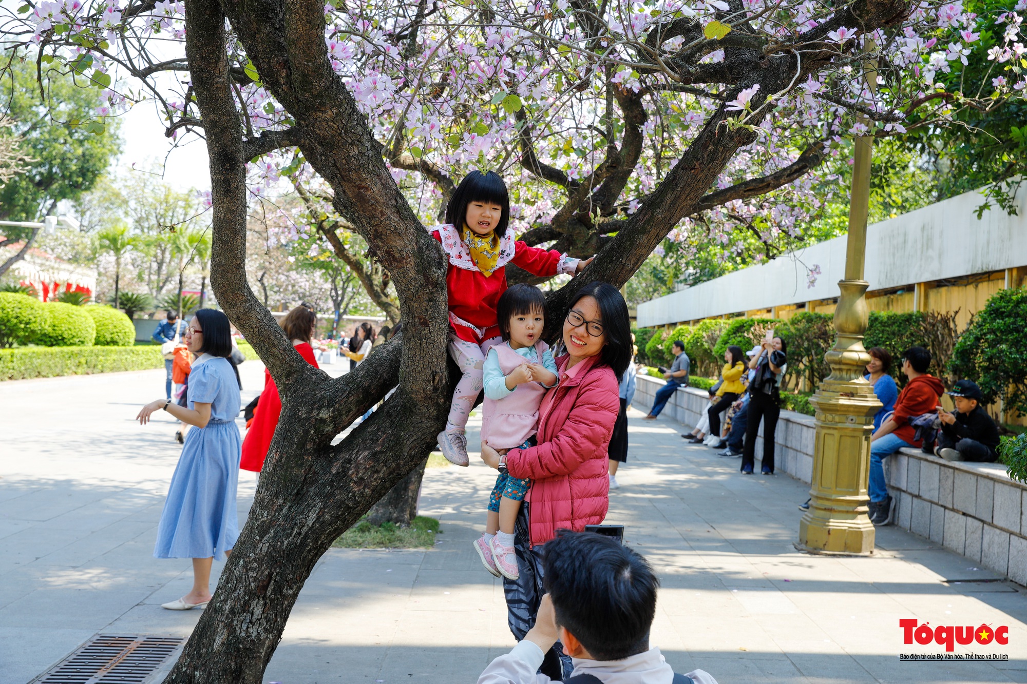 Người dân thủ đô &quot;rần rần&quot; check-in với con đường hoa đẹp nhất Hà Nội - Ảnh 6.