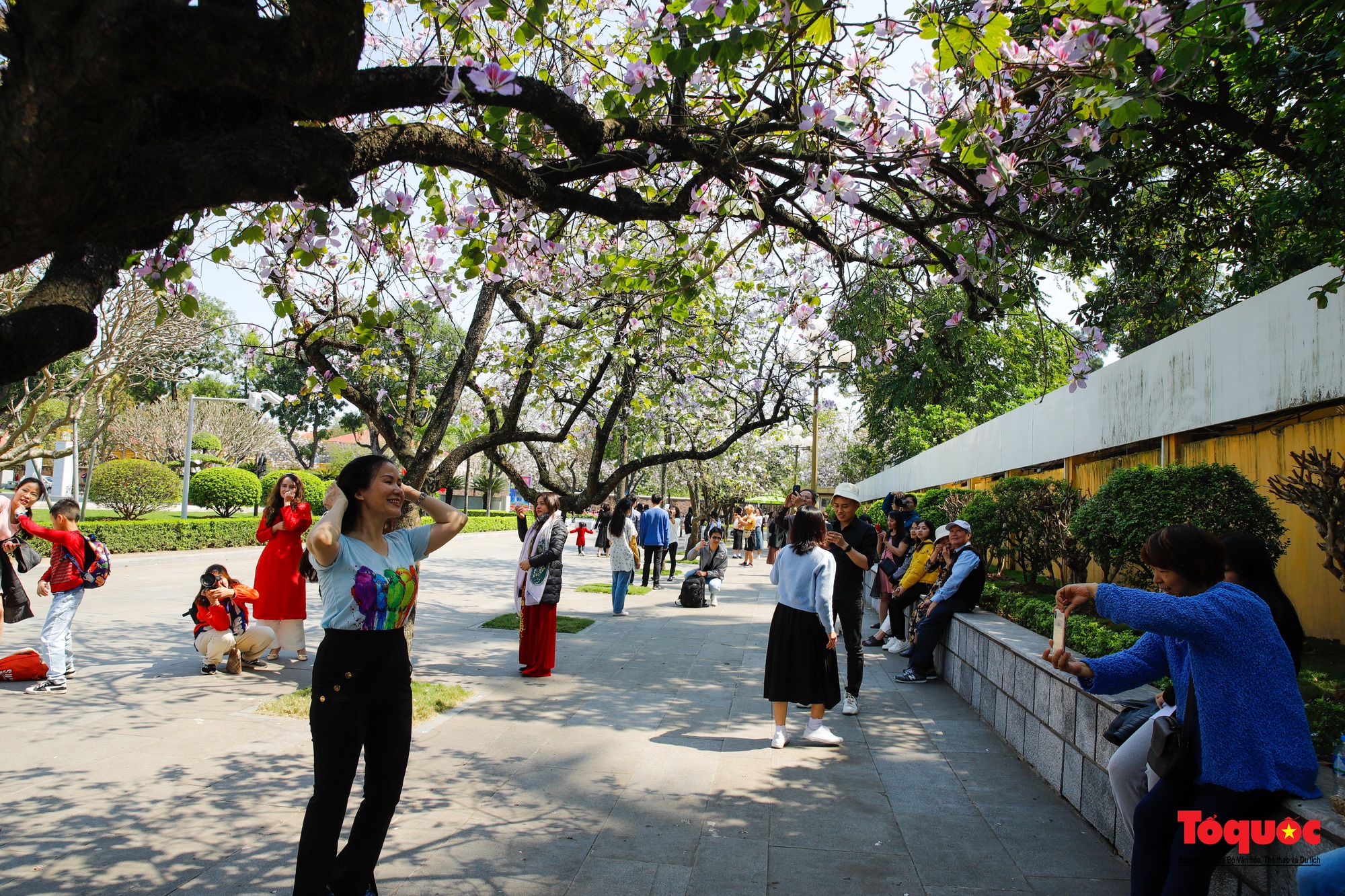 Người dân thủ đô &quot;rần rần&quot; check-in với con đường hoa đẹp nhất Hà Nội - Ảnh 4.