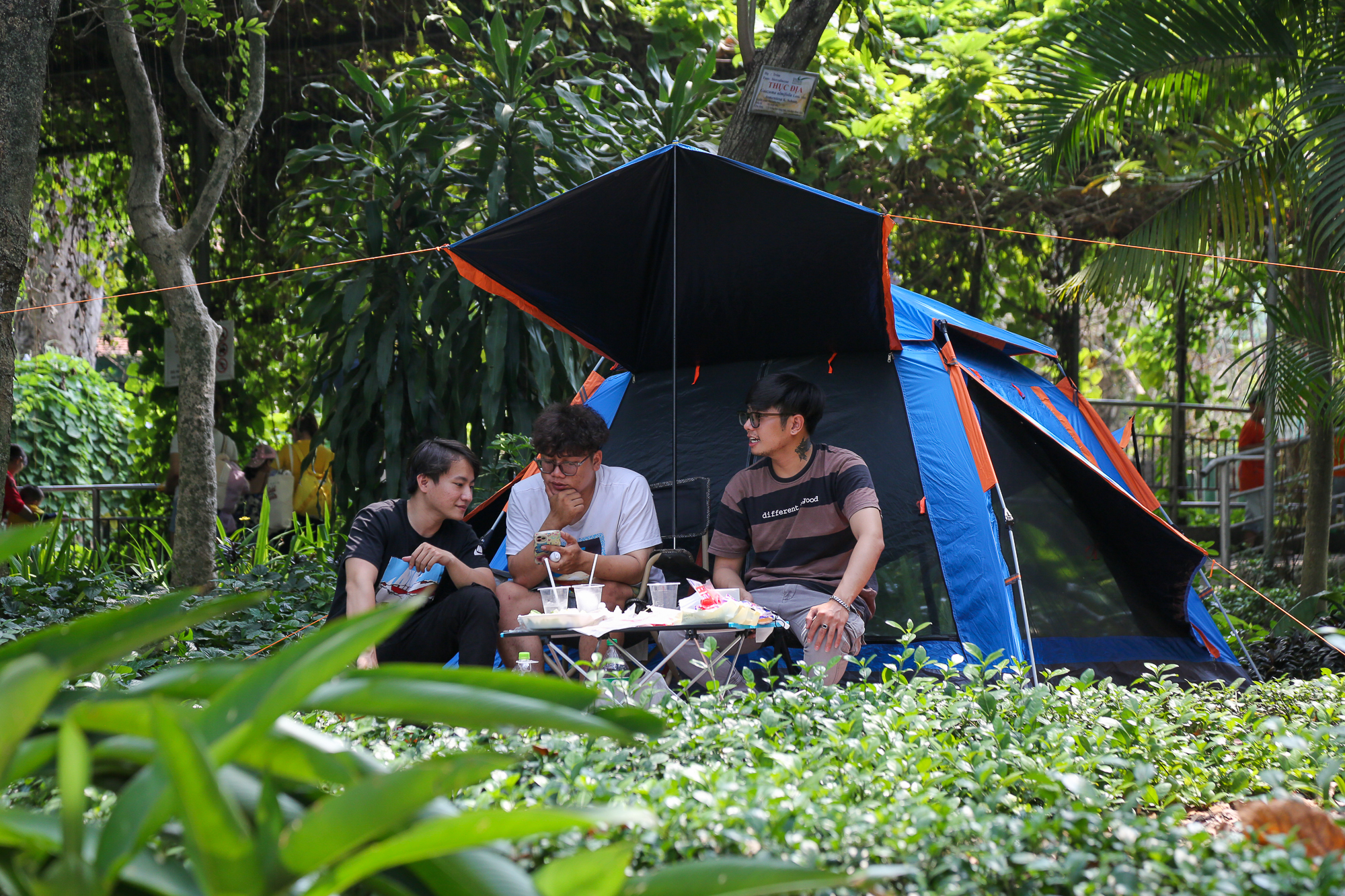 Giới trẻ đổ xô đến Thảo Cầm Viên Sài Gòn cắm trại nghỉ ngơi, ngắm thú dịp cuối tuần  - Ảnh 4.