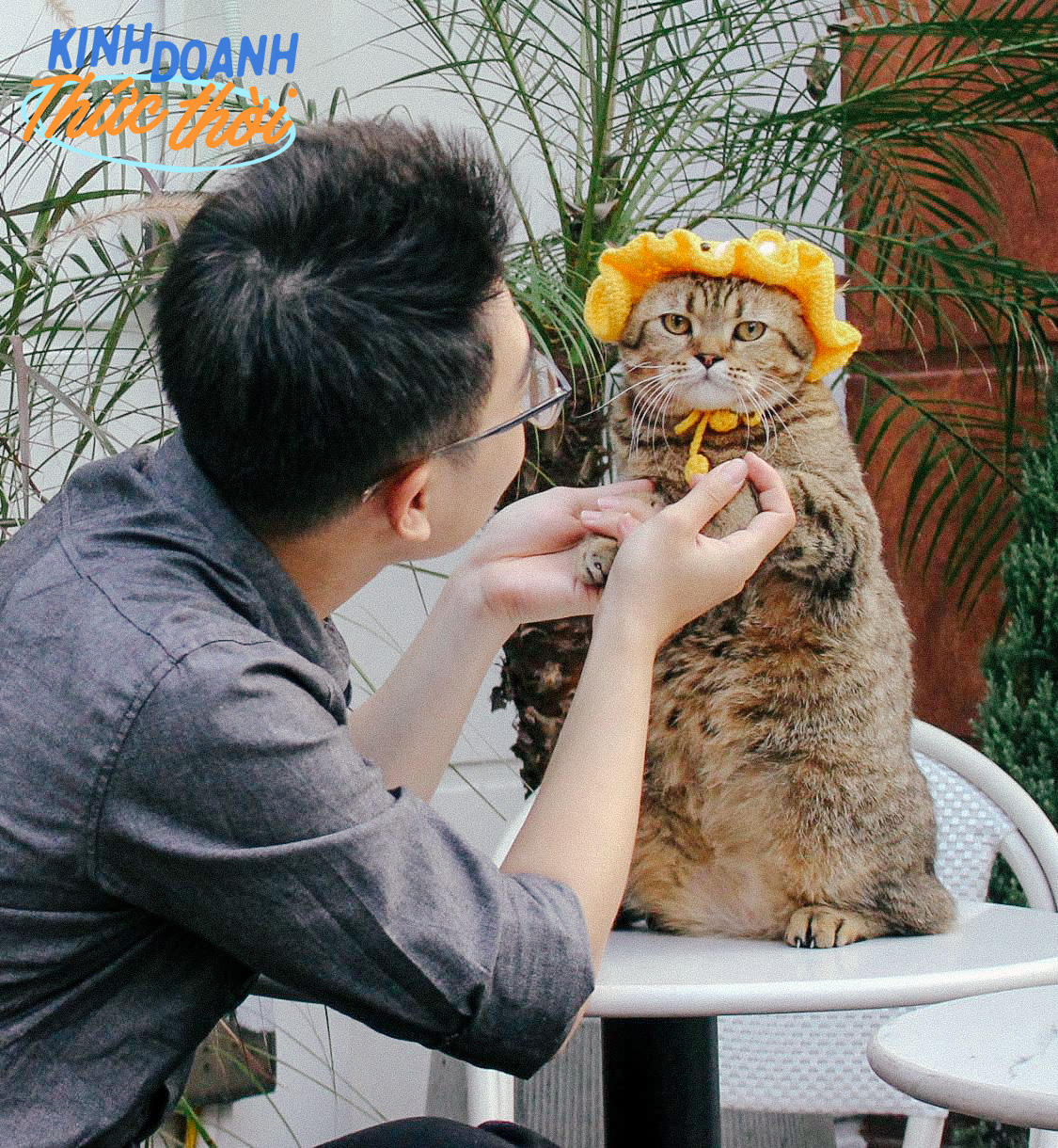 Những chú mèo Việt Nam thành “nghệ sĩ không chuyên”, mỗi ngày đi làm một phút mà giúp chủ kiếm bộn tiền - Ảnh 5. Những chú mèo Việt Nam thành “nghệ sĩ không chuyên”, mỗi ngày đi làm một phút mà giúp chủ kiếm bộn tiền - Ảnh 5.