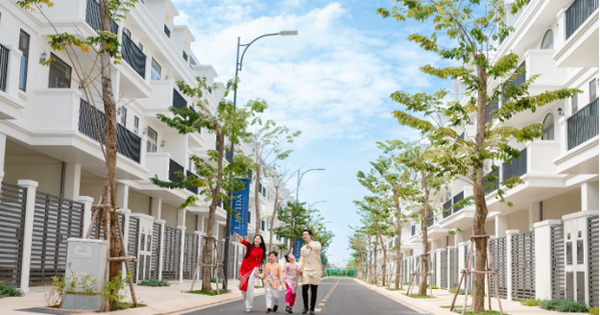 Thị trường địa ốc Bà Rịa- Vũng Tàu 2023 tăng nhu cầu thực - Ảnh 1.