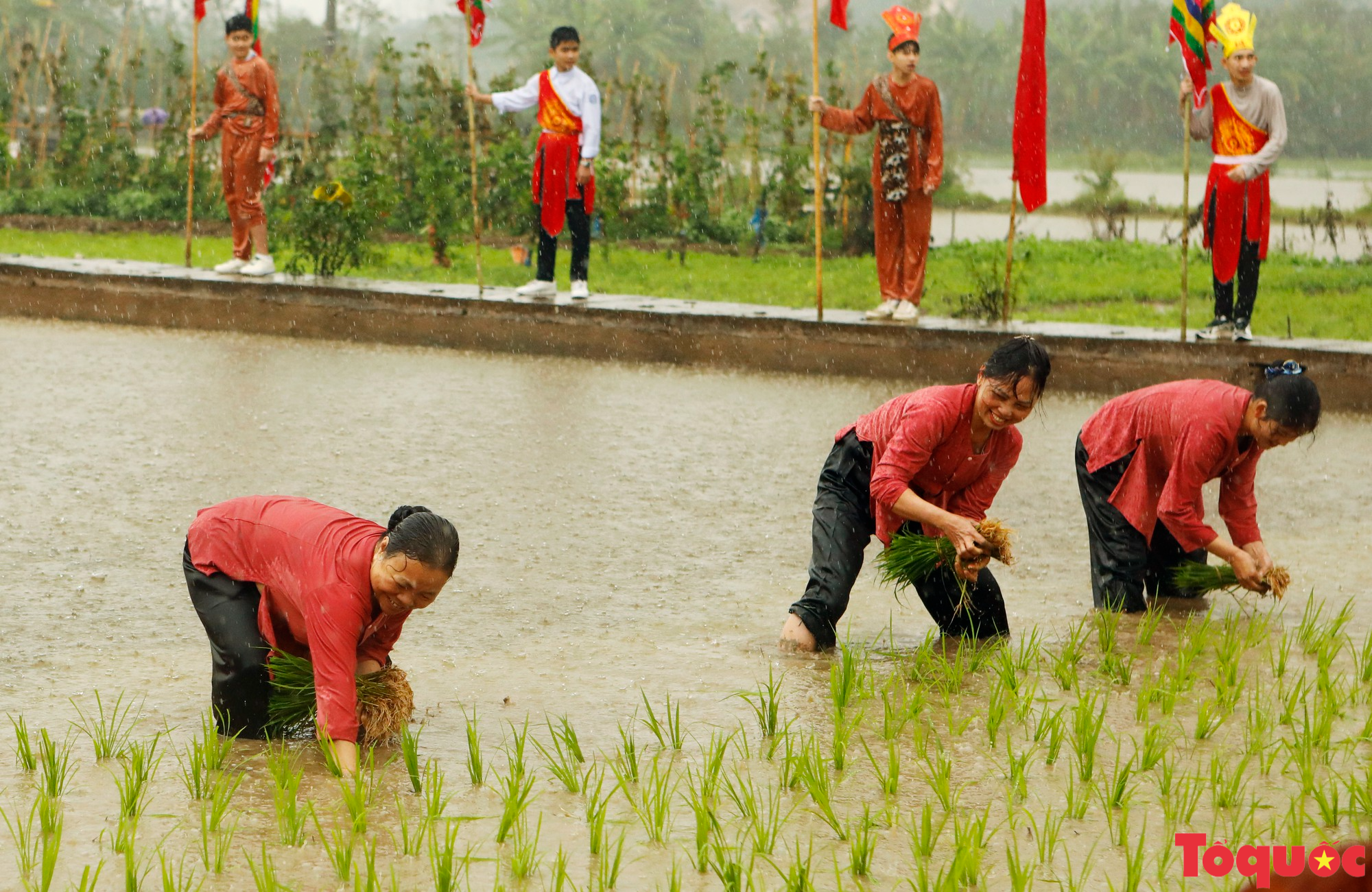 Phú Thọ độc đáo Lễ hội Vua Hùng dạy dân cấy lúa - Ảnh 20.