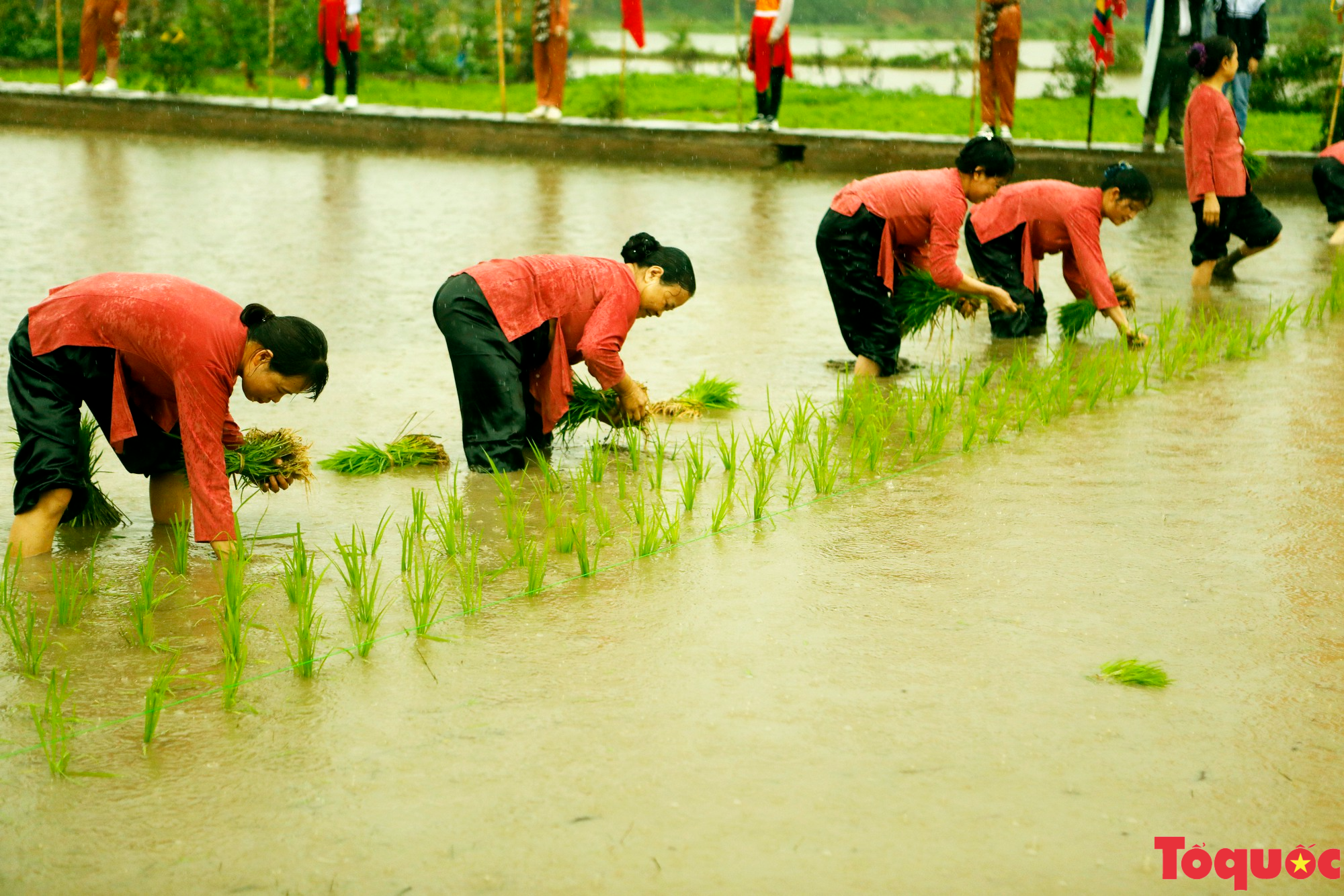 Phú Thọ độc đáo Lễ hội Vua Hùng dạy dân cấy lúa - Ảnh 21.