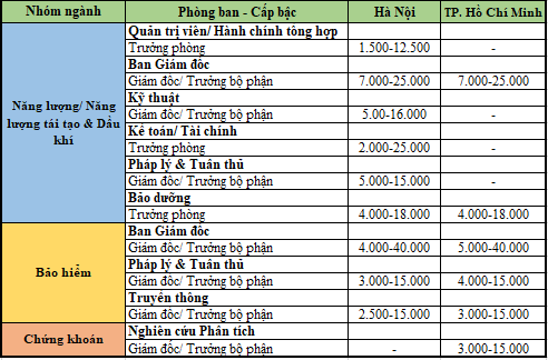 Những công việc ở Việt Nam có mức lương lên hơn 300 triệu đồng/tháng - Ảnh 2.