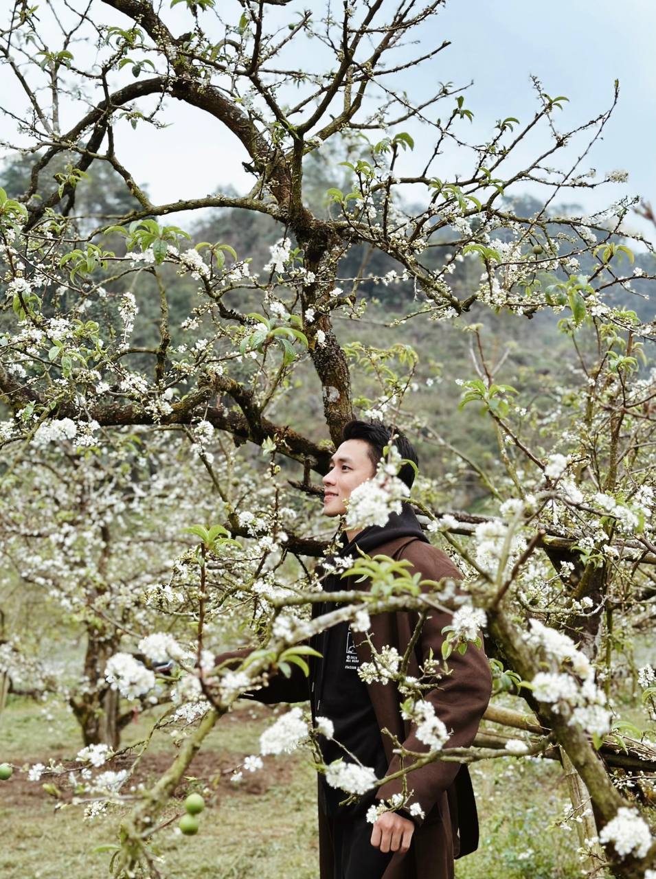 Mộc Châu trở thành điểm siêu hot dịp đầu xuân với những cây hoa mận phủ trắng núi đồi - Ảnh 13.