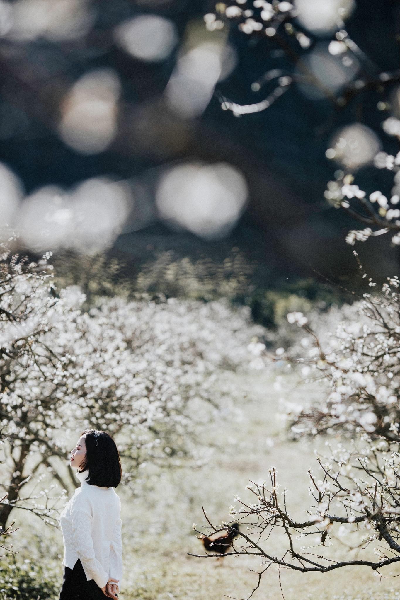 Mộc Châu trở thành điểm siêu hot dịp đầu xuân với những cây hoa mận phủ trắng núi đồi - Ảnh 9.