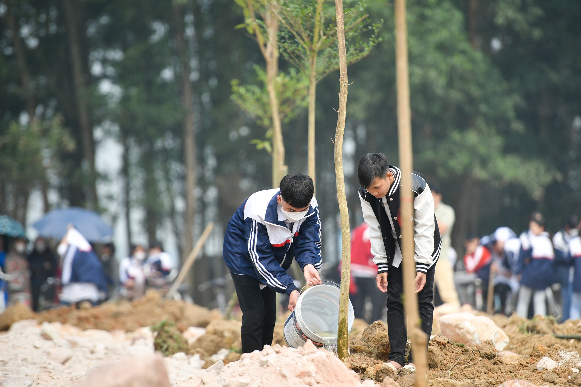 Học sinh Hiệp Hoà háo hức với chương trình tặng sách, trồng cây - Ảnh 9.