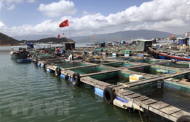 Nhiều cơ hội đầu tư vào nuôi trồng thủy sản Việt Nam - Ảnh 1.