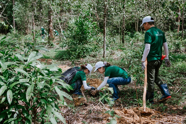 Nestlé được ghi nhận về nỗ lực bảo vệ rừng, góp phần giảm tác động từ biến đổi khí hậu  - Ảnh 1.