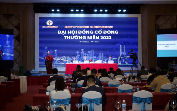 EVNFinance đặt mục tiêu phát triển mạnh mẽ trong năm 2023 - Ảnh 1.