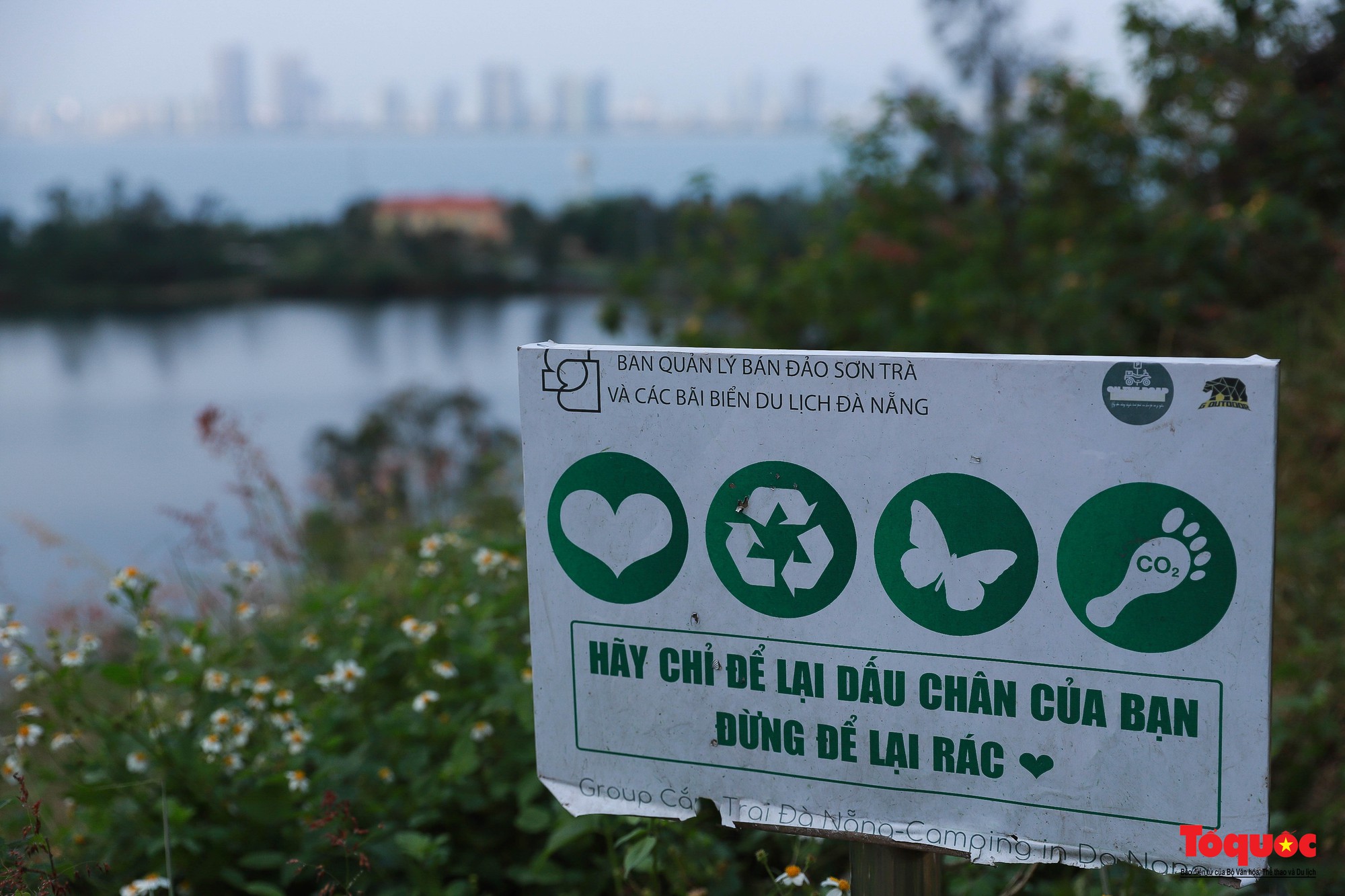 Gần 1.000 người nhặt rác làm đẹp bán đảo Sơn Trà và các bãi biển du lịch Đà Nẵng - Ảnh 5.