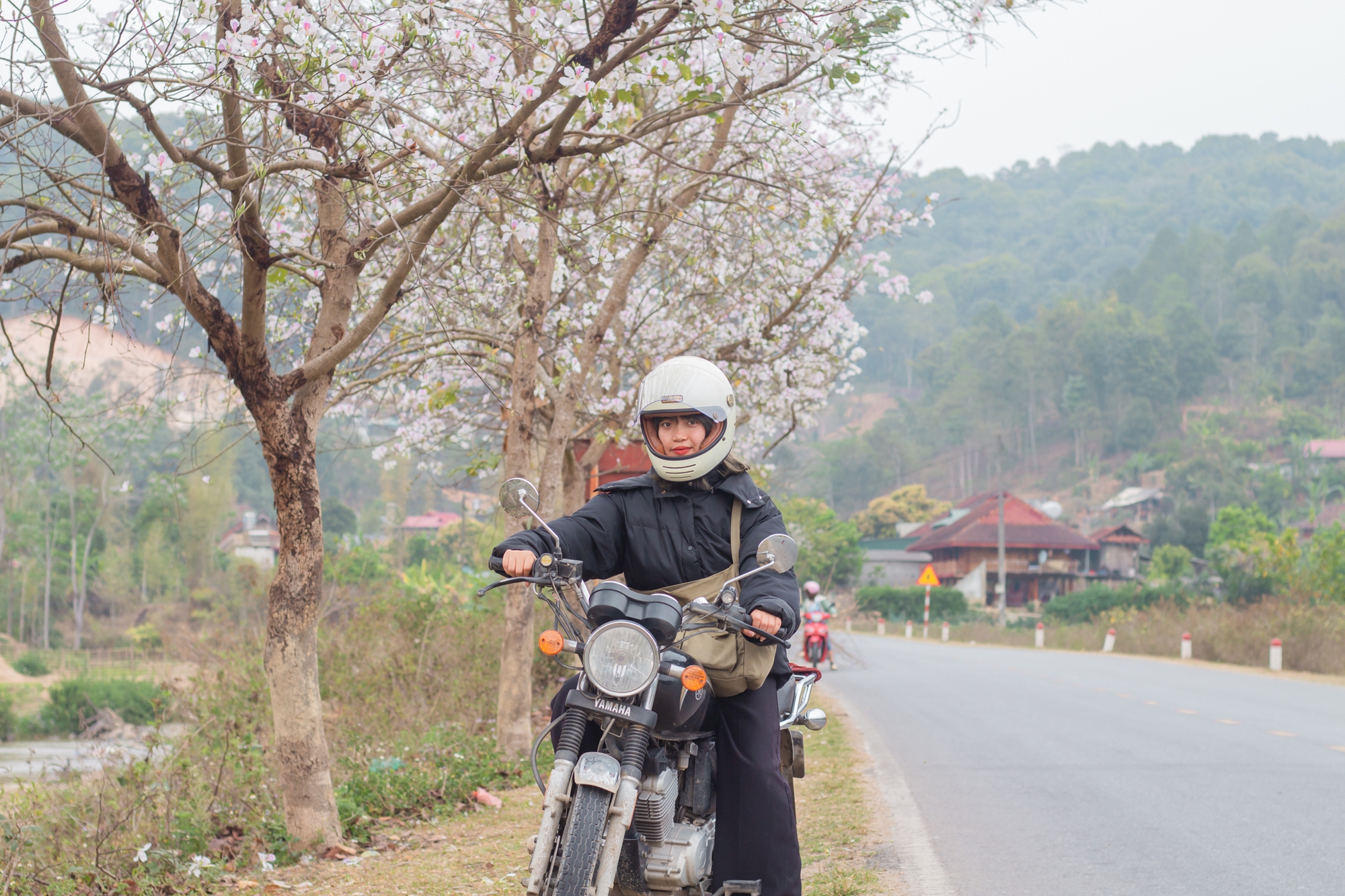 Ngất ngây trước vẻ đẹp Điện Biên mùa hoa ban nở lung linh nhất trong năm - Ảnh 1.