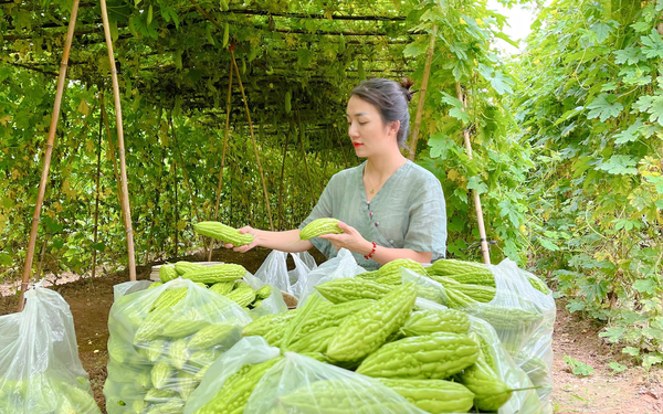 Mộc Nhan - Thương hiệu Việt mang đậm chất thiên nhiên - Ảnh 1.