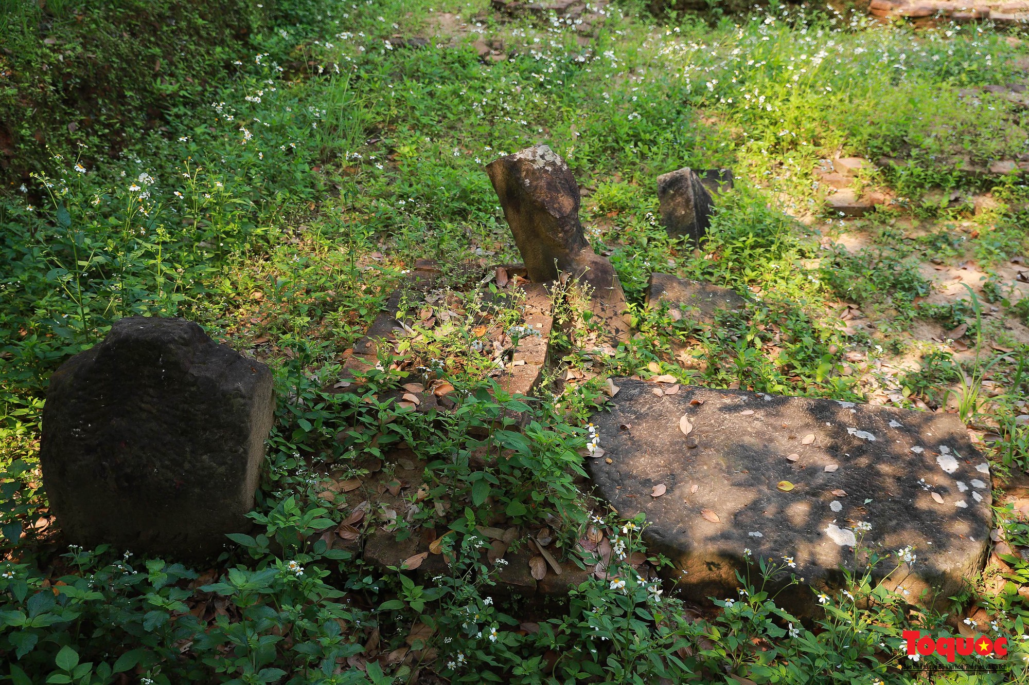 Cỏ dại bao phủ Di chỉ khảo cổ Chăm Phong Lệ - Ảnh 2.