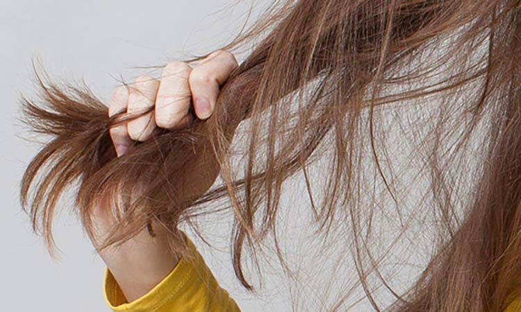 7 nguyên nhân khiến tóc xơ xác, thưa thớt ở chị em: Hiểu để chăm sóc tóc khỏe mạnh - Ảnh 1.