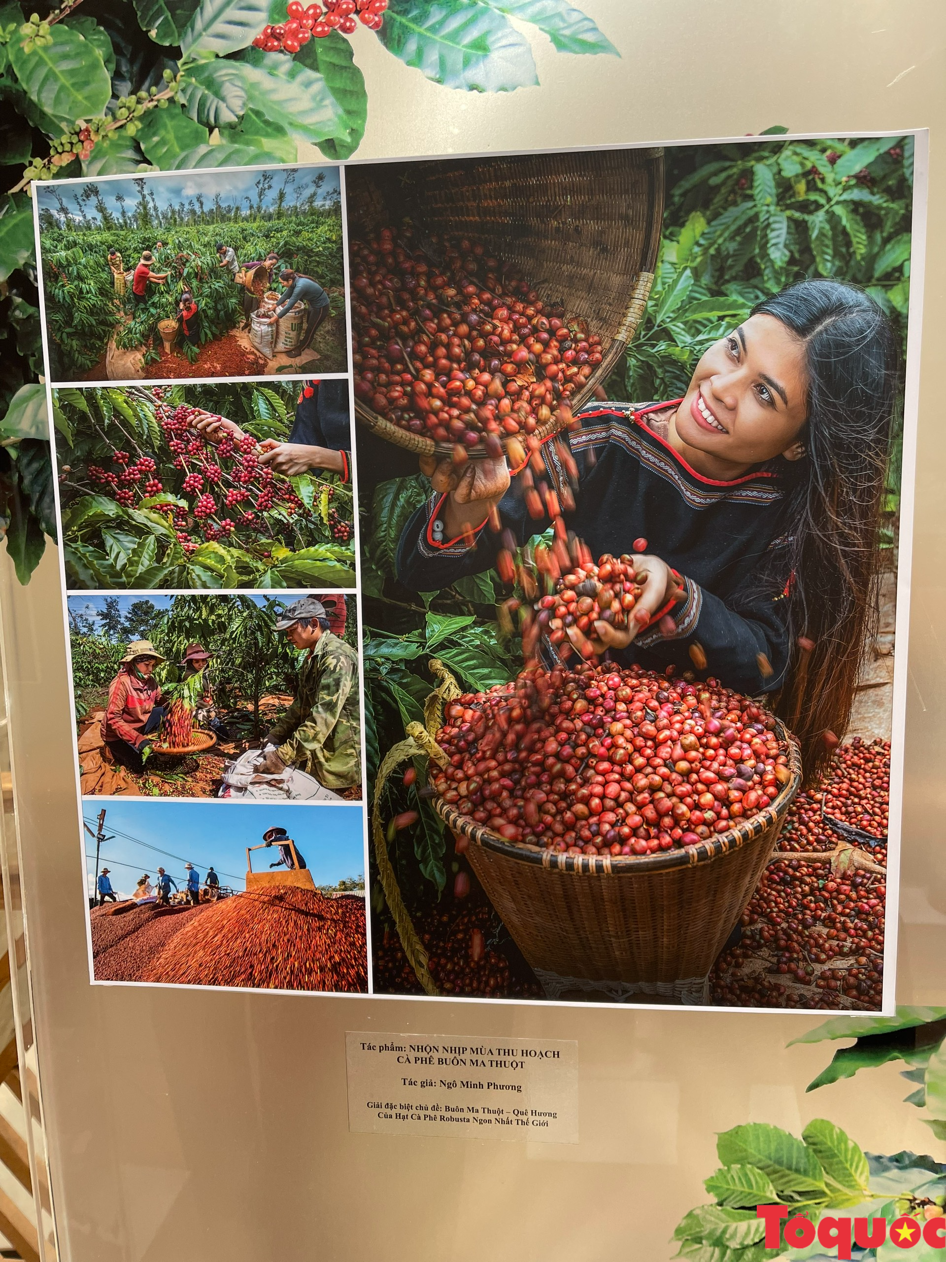 Triển lãm ảnh nghệ thuật “Cà phê Việt Nam - hành trình kiến tạo di sản văn hóa thế giới” - Ảnh 4.