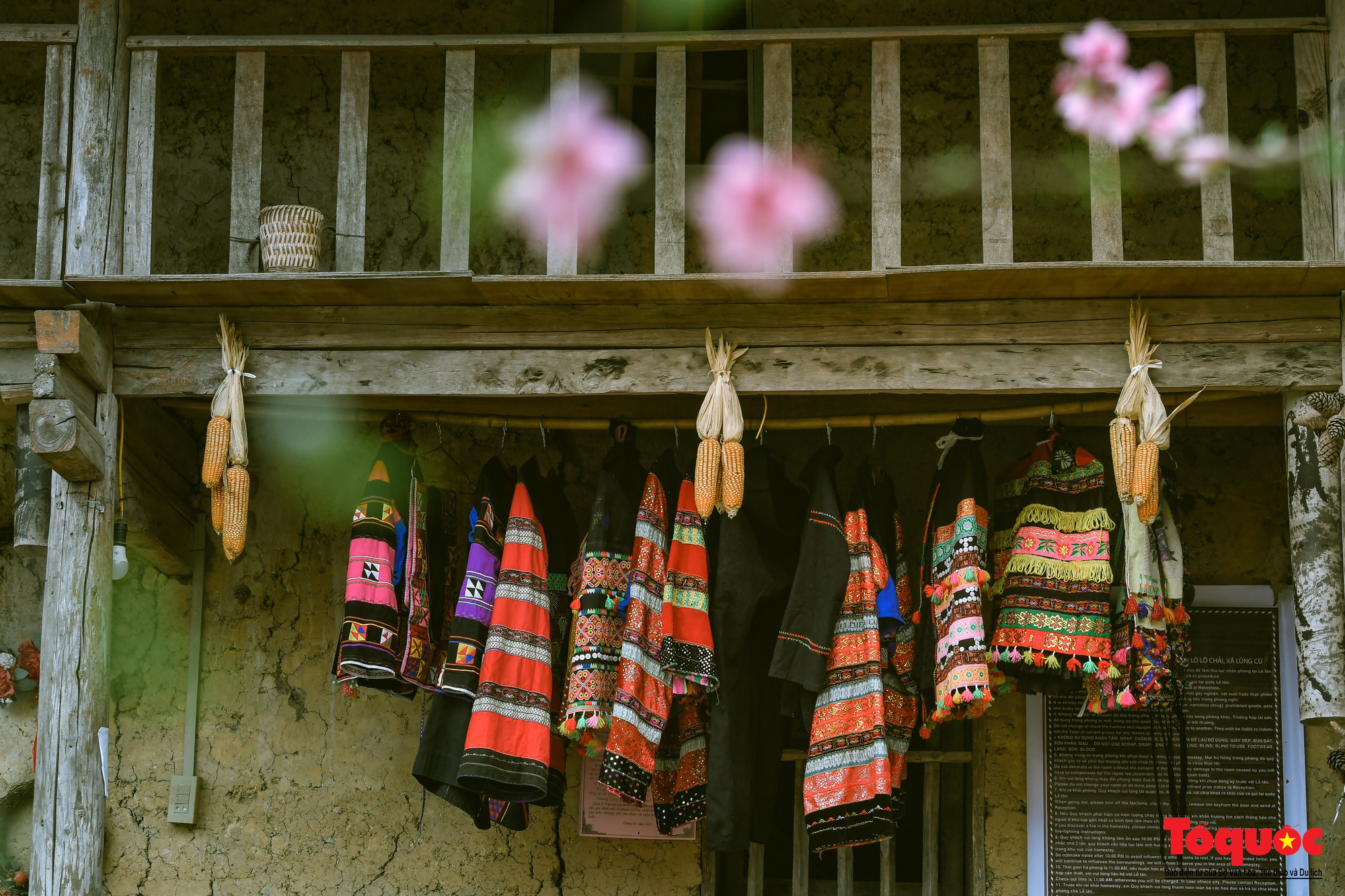 Làng văn hóa Lô Lô Chải - Điểm đến không thể bỏ qua vùng địa đầu cực Bắc - Ảnh 16.