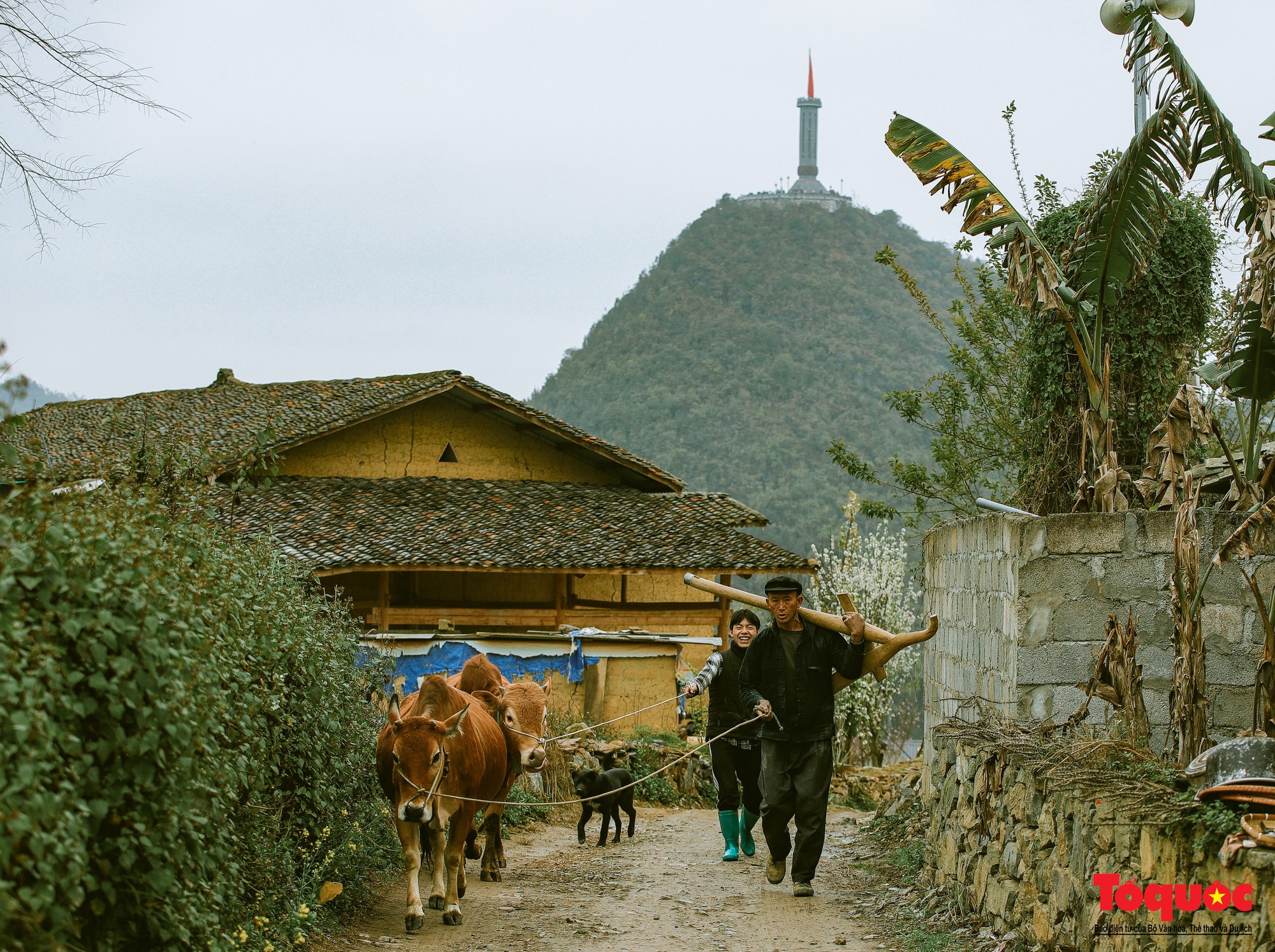 Làng văn hóa Lô Lô Chải - Điểm đến không thể bỏ qua vùng địa đầu cực Bắc - Ảnh 2.