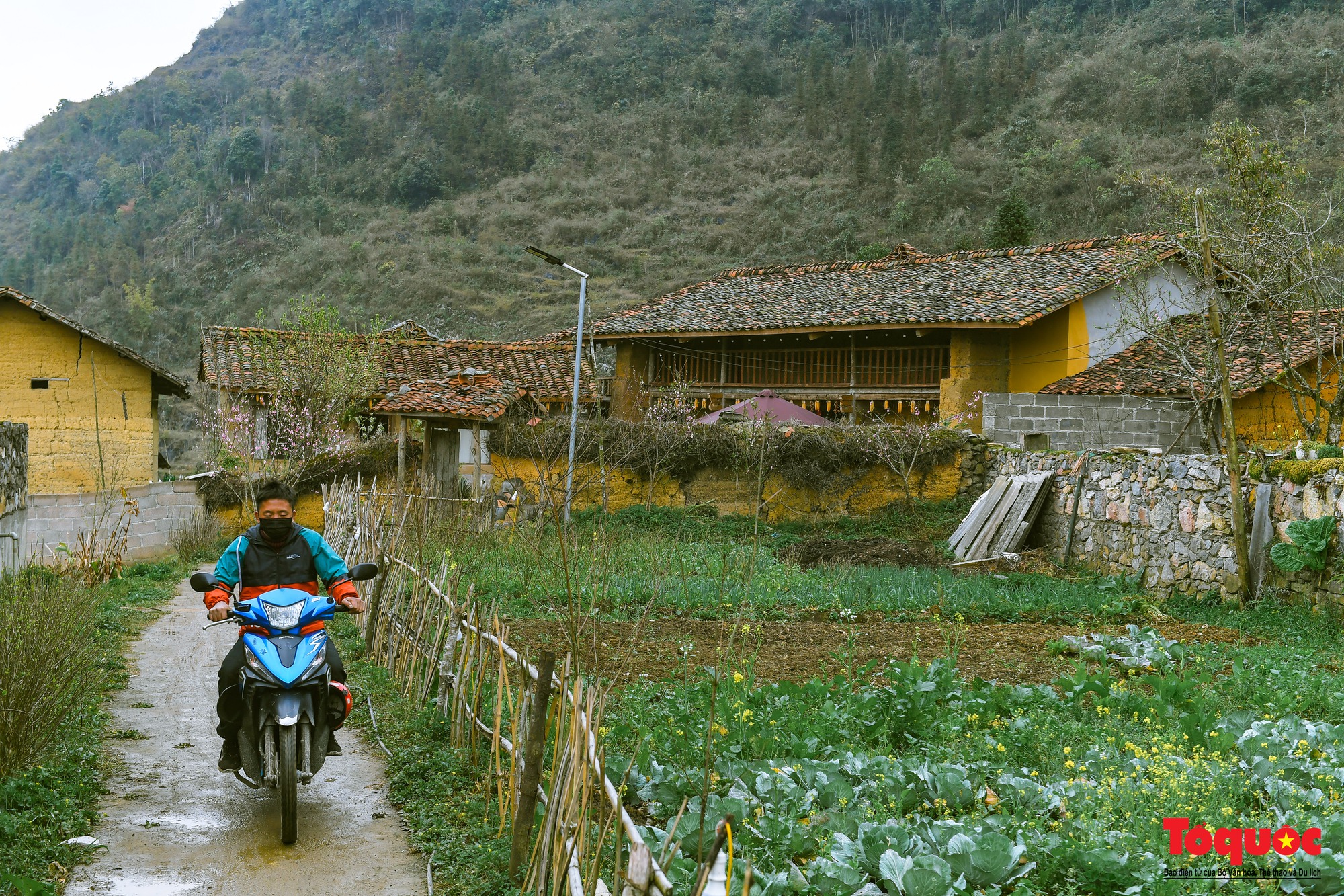 Làng văn hóa Lô Lô Chải - Điểm đến không thể bỏ qua vùng địa đầu cực Bắc - Ảnh 6.