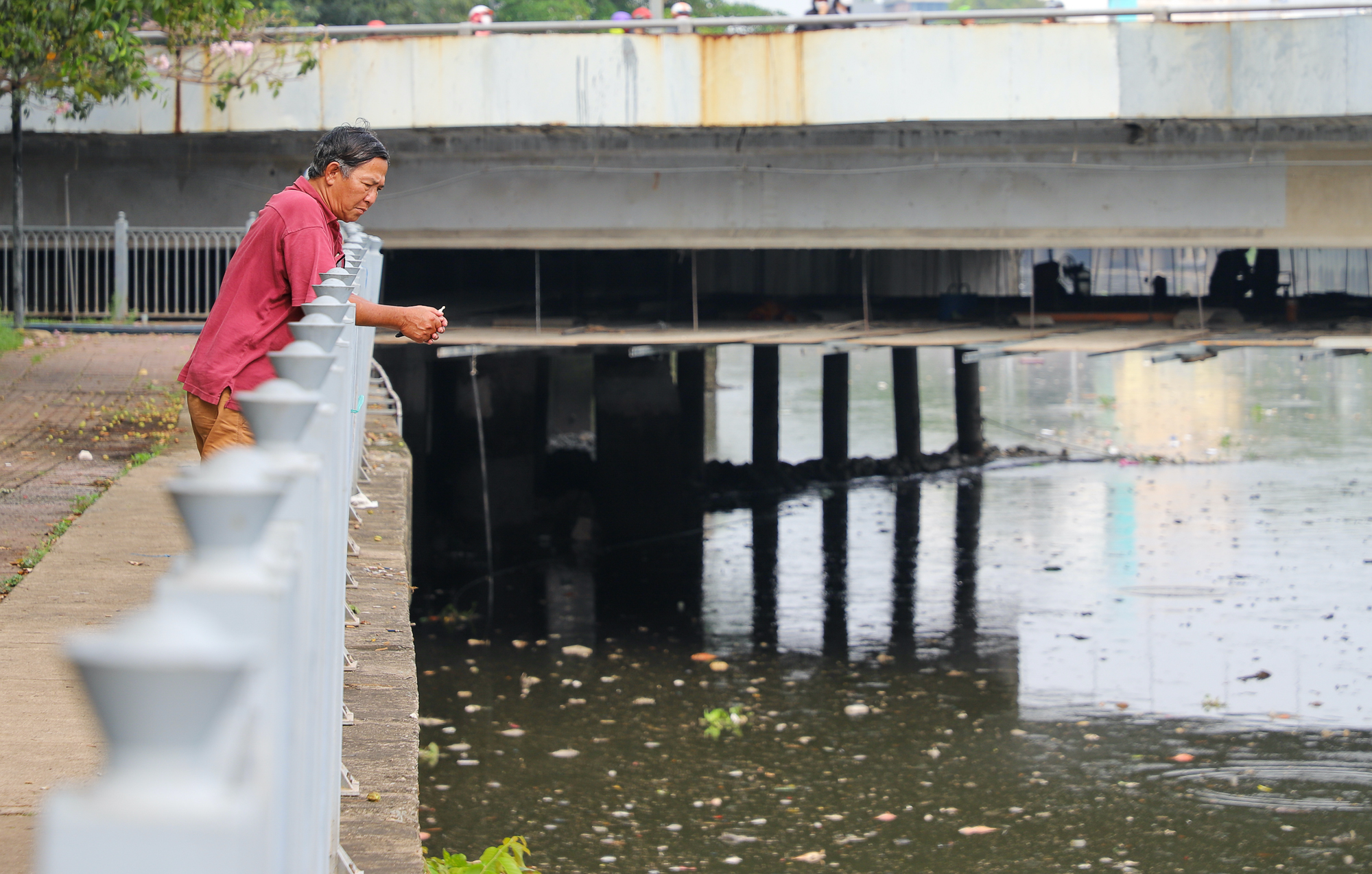 TP.HCM: Nước bị ô nhiễm, cá chết hàng loạt trên kênh Nhiêu Lộc - Thị Nghè  - Ảnh 10.
