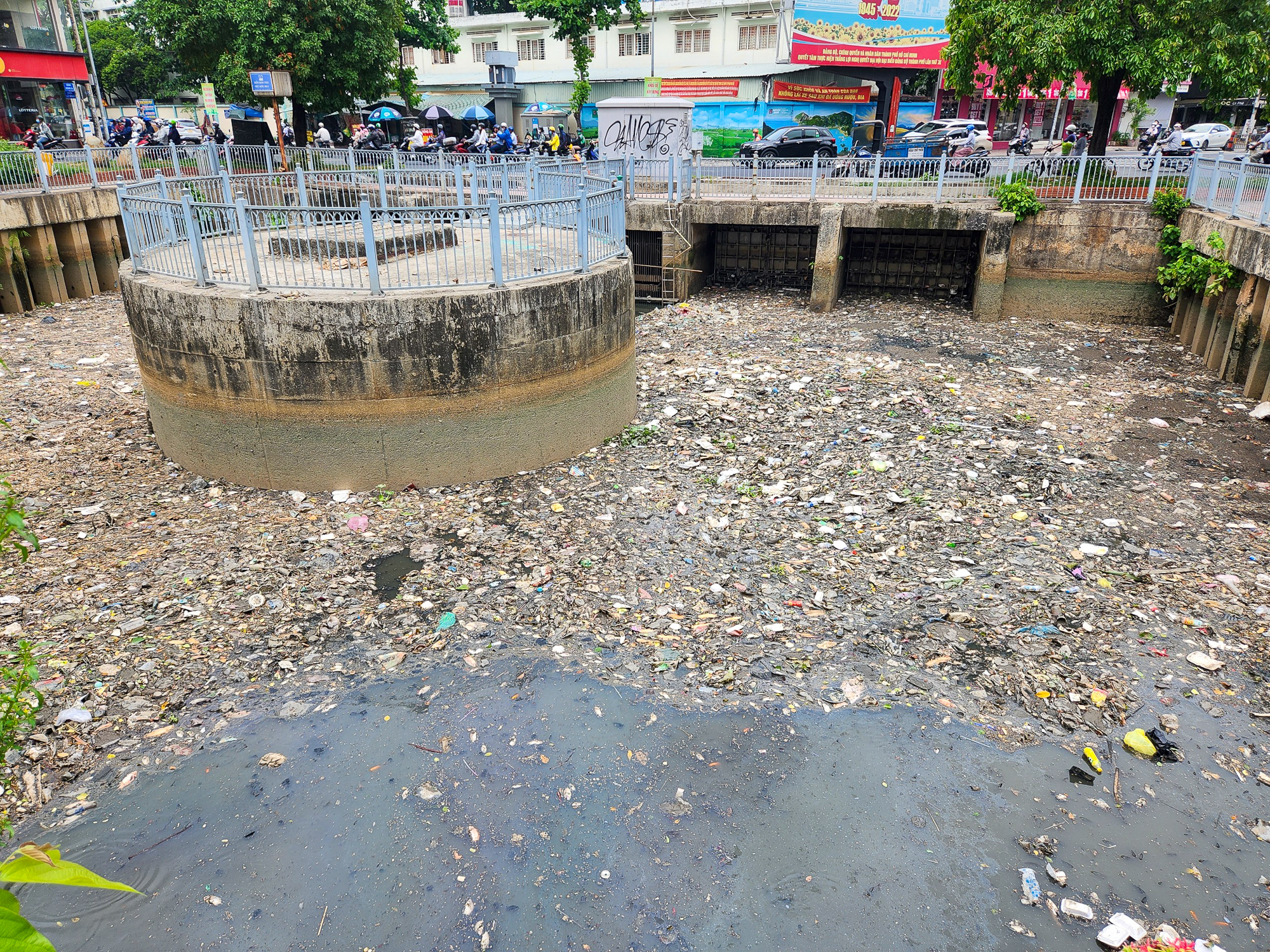TP.HCM: Nước bị ô nhiễm, cá chết hàng loạt trên kênh Nhiêu Lộc - Thị Nghè  - Ảnh 1.