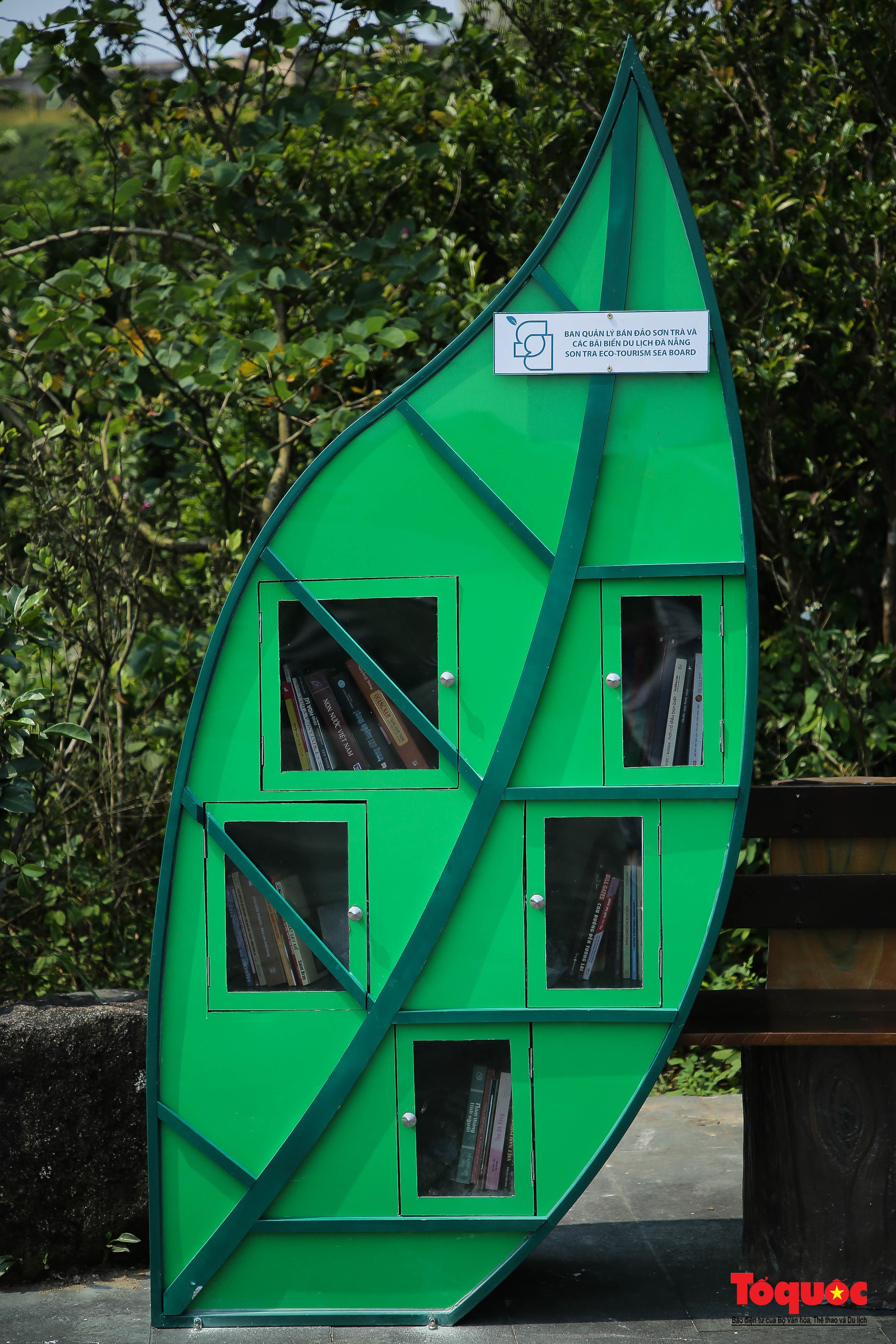 Cận cảnh &quot;Trạm đọc xanh&quot; đầu tiên trên bán đảo Sơn Trà - Ảnh 4.