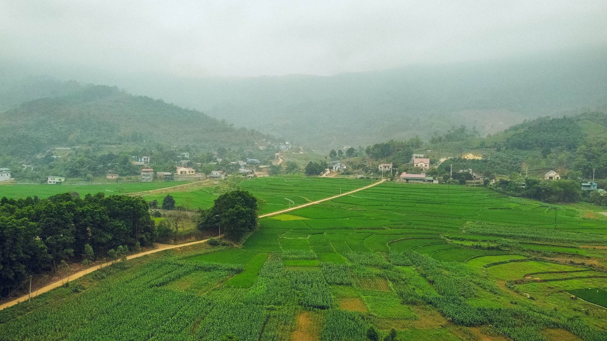 Sự thật về nơi có rừng trúc xanh mướt, nhiều người lùng sục suốt nhiều ngày qua vì muốn đưa gia đình tới tránh nóng - Ảnh 3.