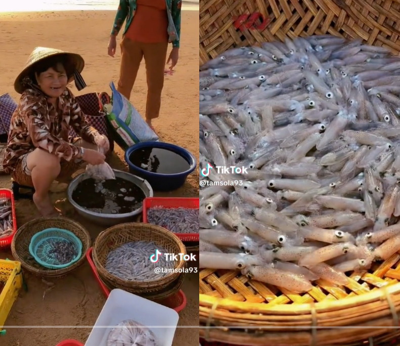 Trải nghiệm ăn hải sản bao tươi, bao rẻ, đúng chuẩn dân biển Phú Yên mà nhiều người chưa hề biết đến - Ảnh 2.
