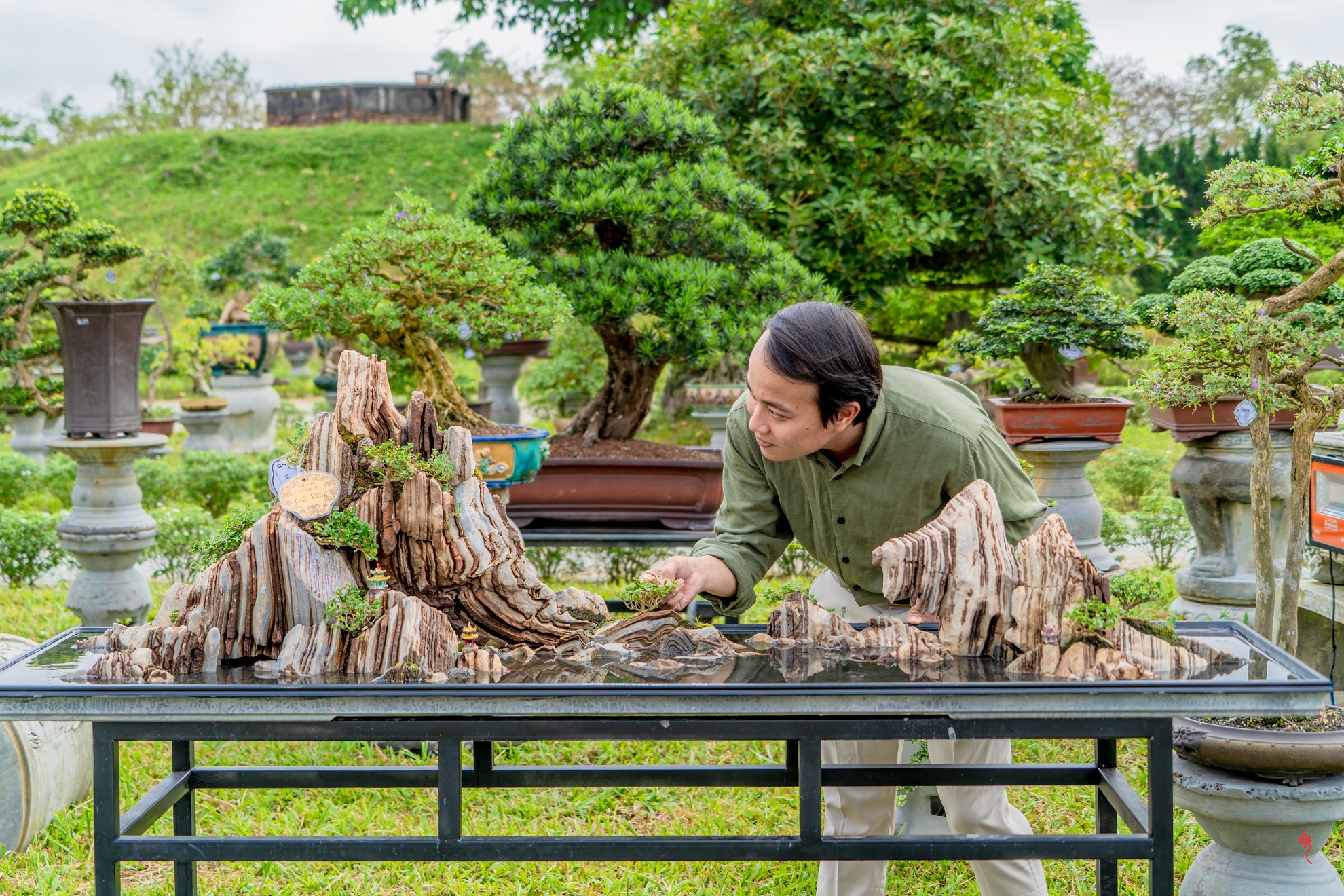 Du khách thưởng lãm &quot;kỳ hoa, dị thảo&quot; ba miền hội tụ tại hoàng cung Huế - Ảnh 13.