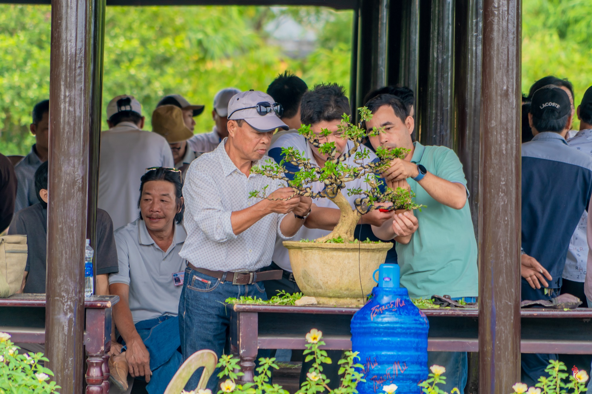 Du khách thưởng lãm &quot;kỳ hoa dị thảo&quot; ba miền hội tụ tại hoàng cung Huế - Ảnh 12.