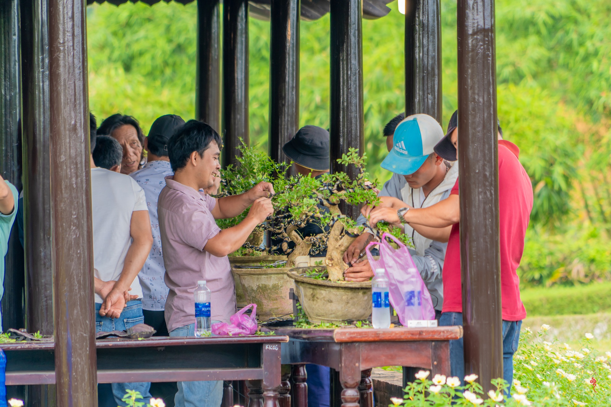 Du khách thưởng lãm &quot;kỳ hoa dị thảo&quot; ba miền hội tụ tại hoàng cung Huế - Ảnh 3.