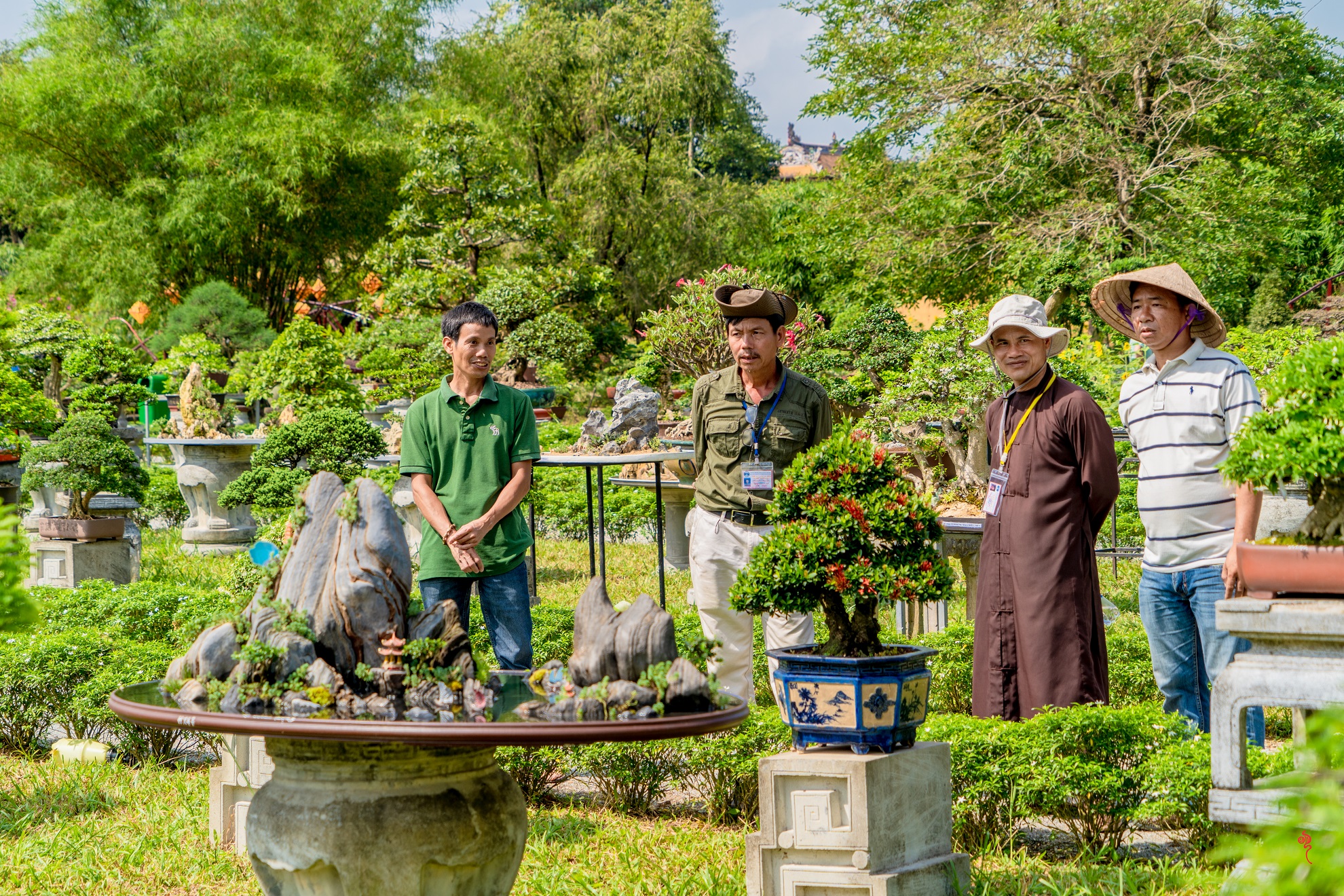 Du khách thưởng lãm &quot;kỳ hoa dị thảo&quot; ba miền hội tụ tại hoàng cung Huế - Ảnh 6.